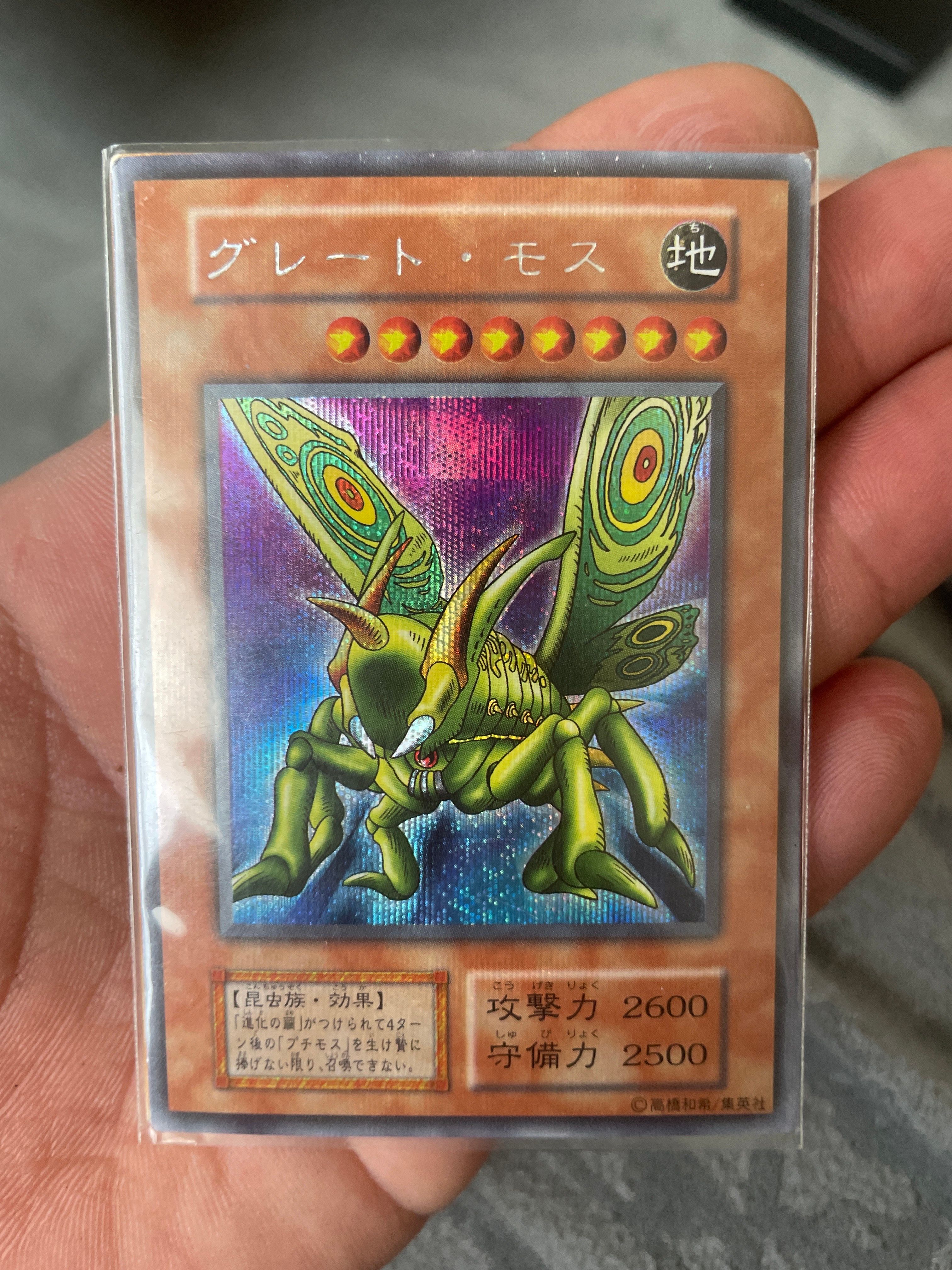 グレート・モス URP [グレート・モス-PA](Vol.6)