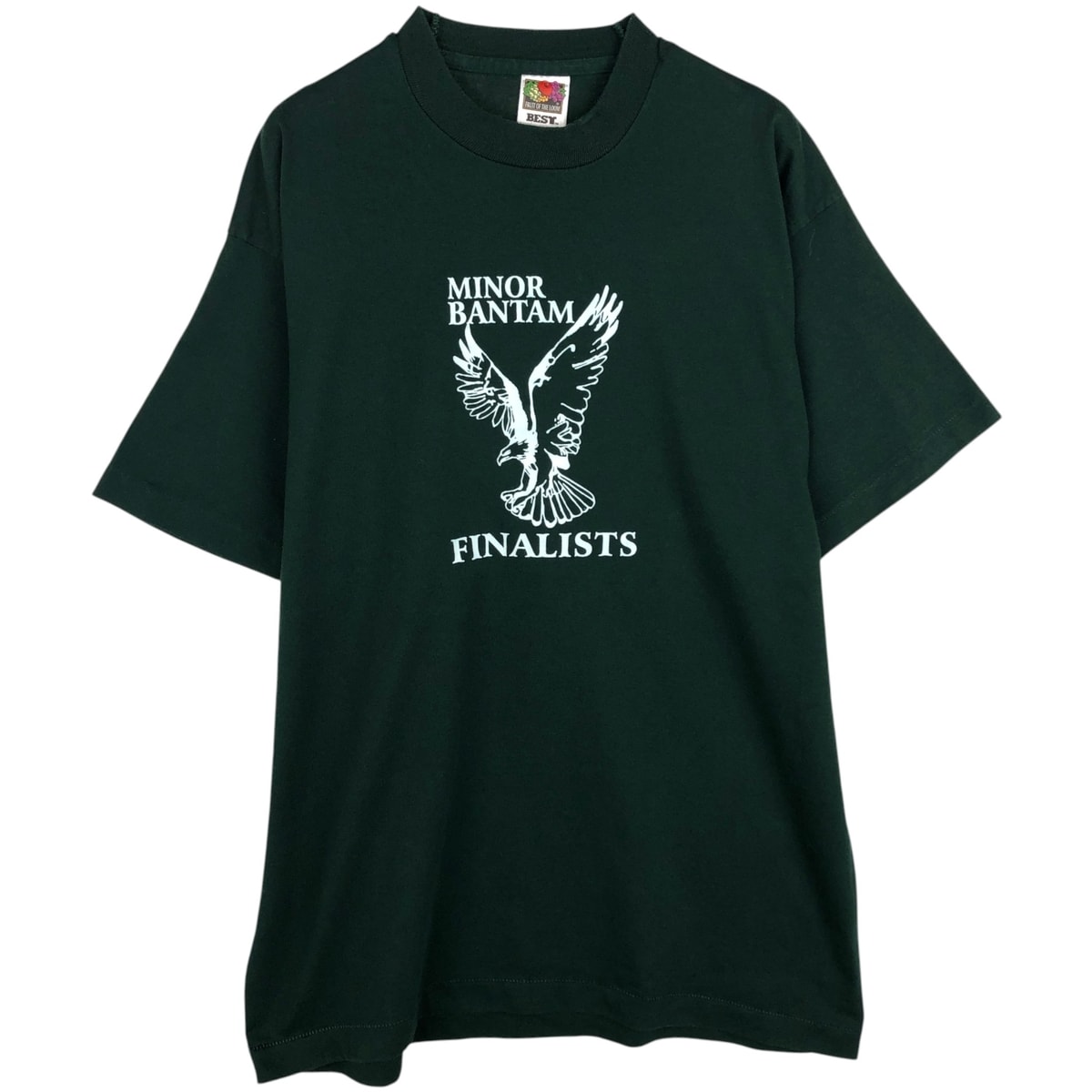 古着 00年代 フルーツオブザルーム FRUIT OF THE LOOM 鷲柄 イーグル柄 プリントTシャツ カナダ製 メンズL相当/eaa639119
