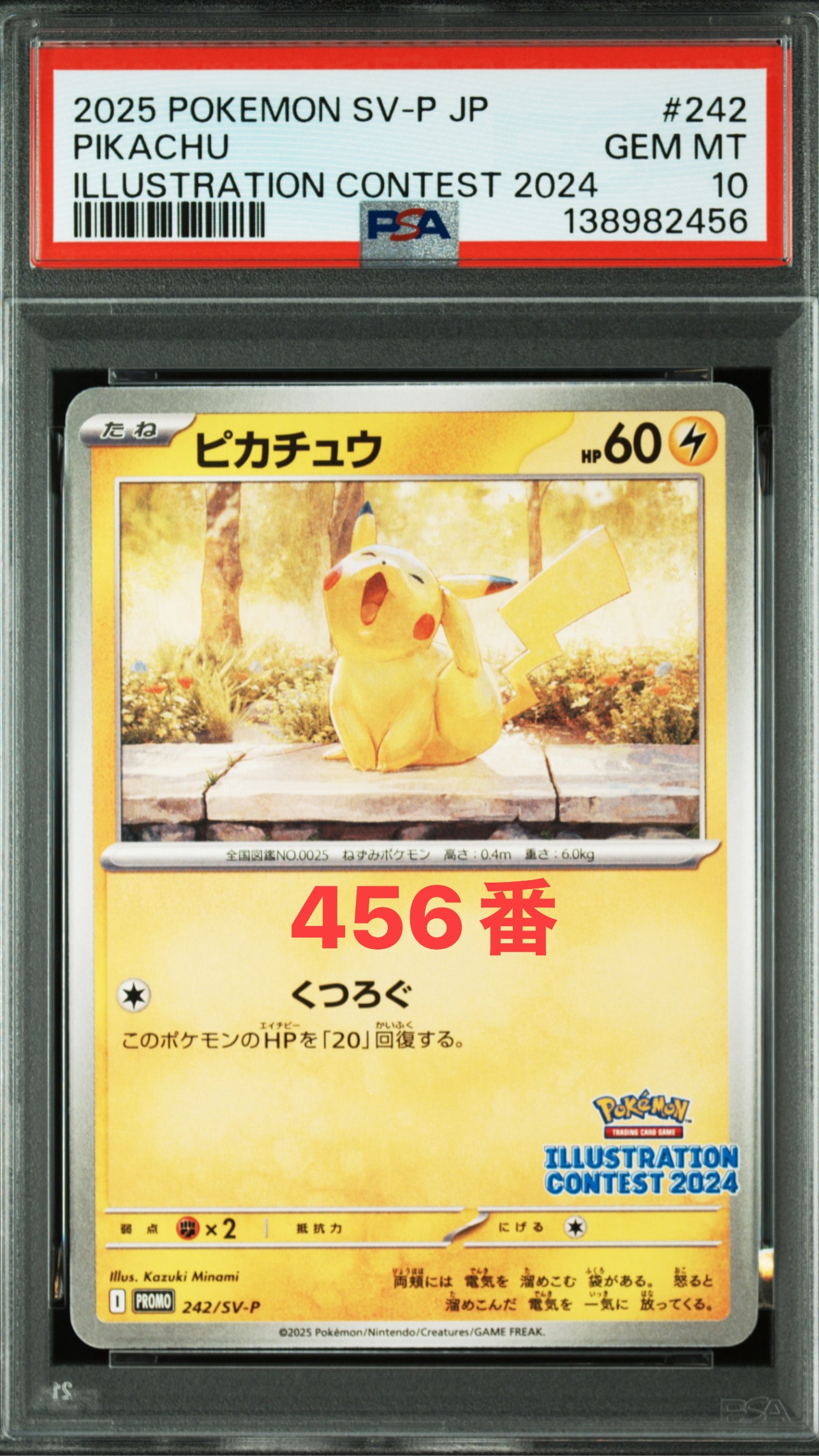 ピカチュウ [SV-P 242](プロモカードパック「イラストレーション