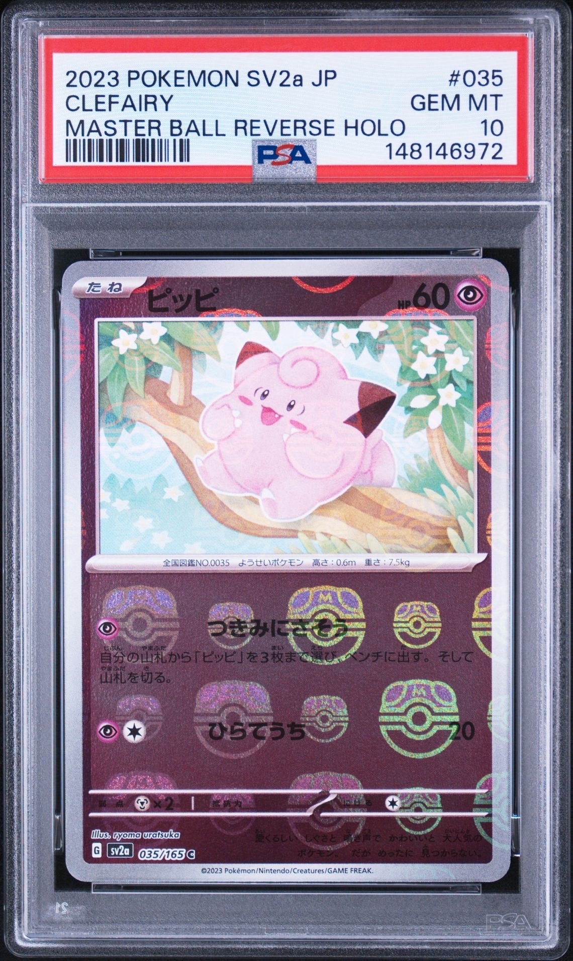 コダック AR [M2a 199/193](ハイクラスパック「MEGAドリームex」)の