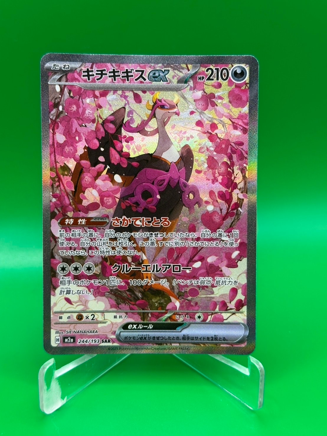 キチキギスex SAR [M2a 244/193](ハイクラスパック「MEGAドリームex