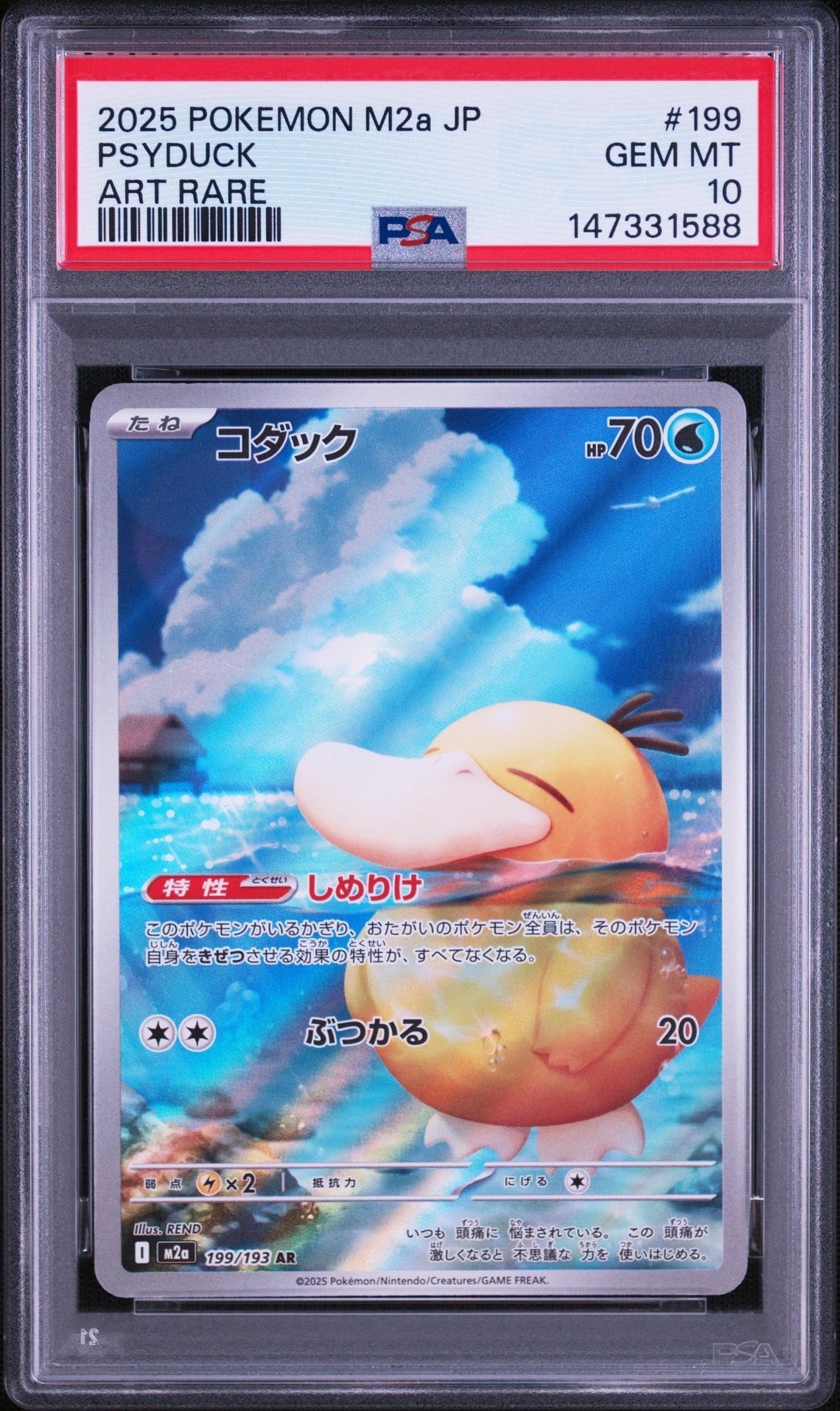 コダック AR [M2a 199/193](ハイクラスパック「MEGAドリームex」)の