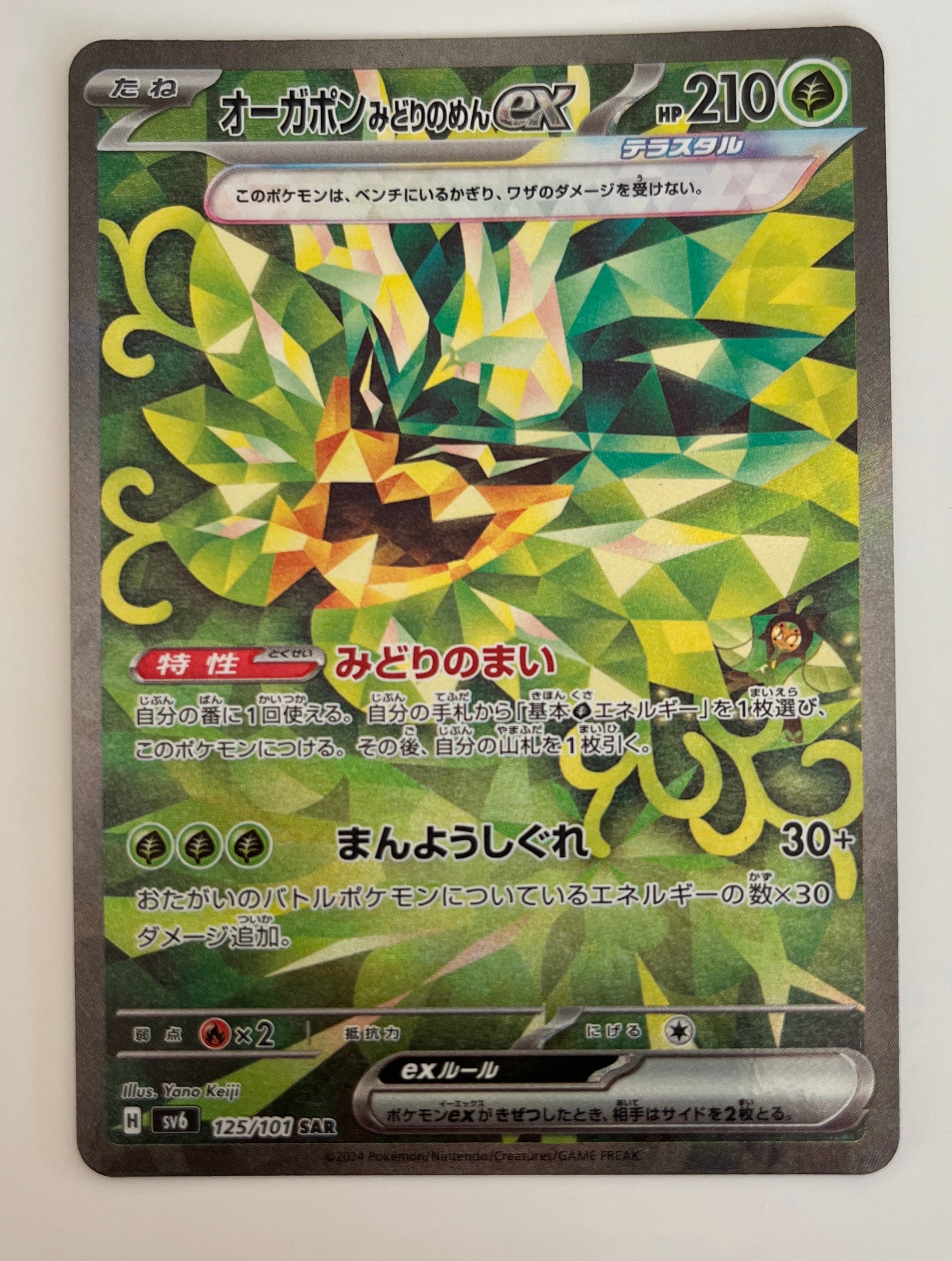 オーガポンみどりのめんex SAR PSA10 PSA10鑑定済〕オーガポンみどりのめんex【SAR】{125/101} - カード