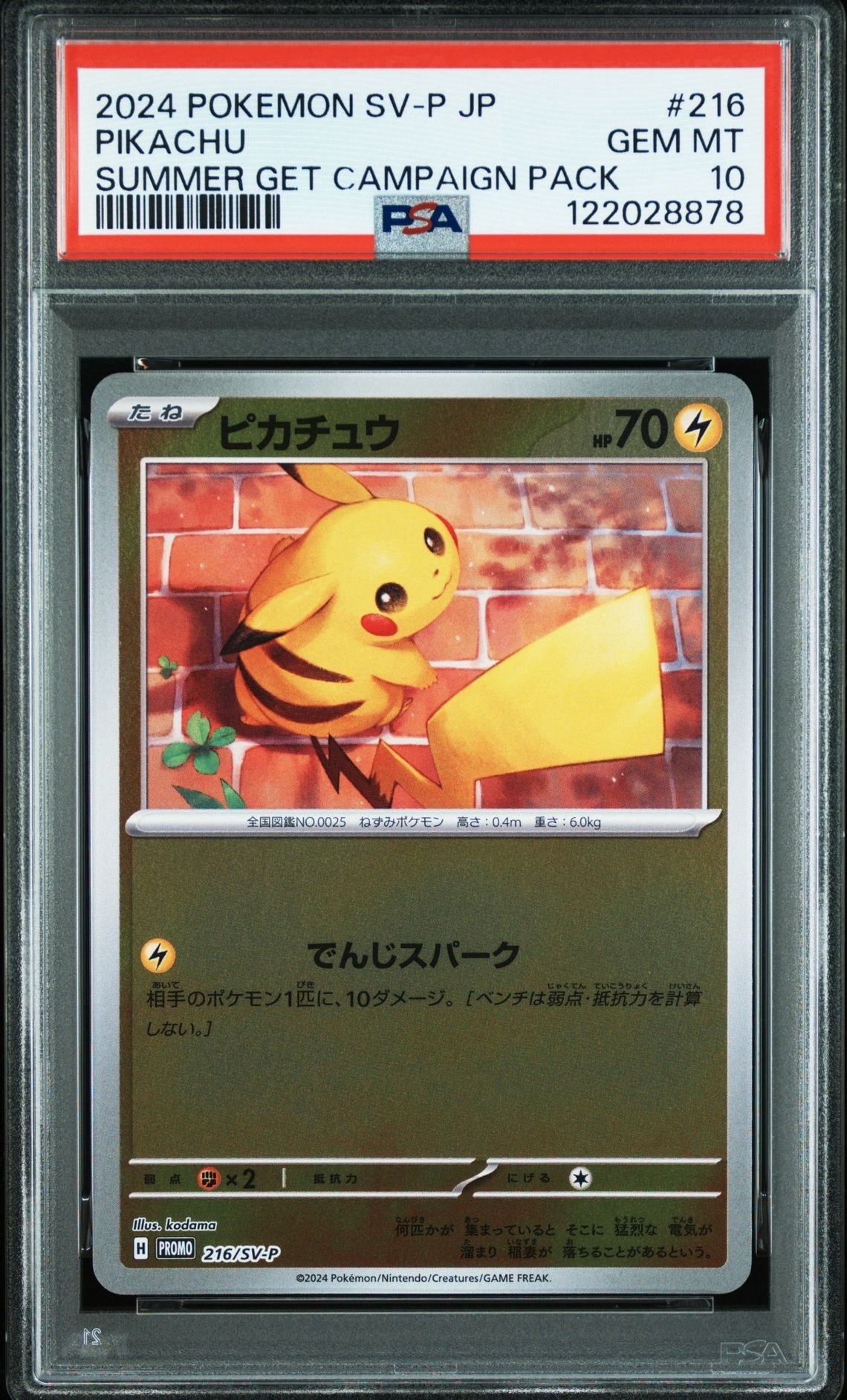 ピカチュウ P [SV-P 216](プロモカードパック「ポケカの夏がキタ!プロモカードGetキャンペーン!」)