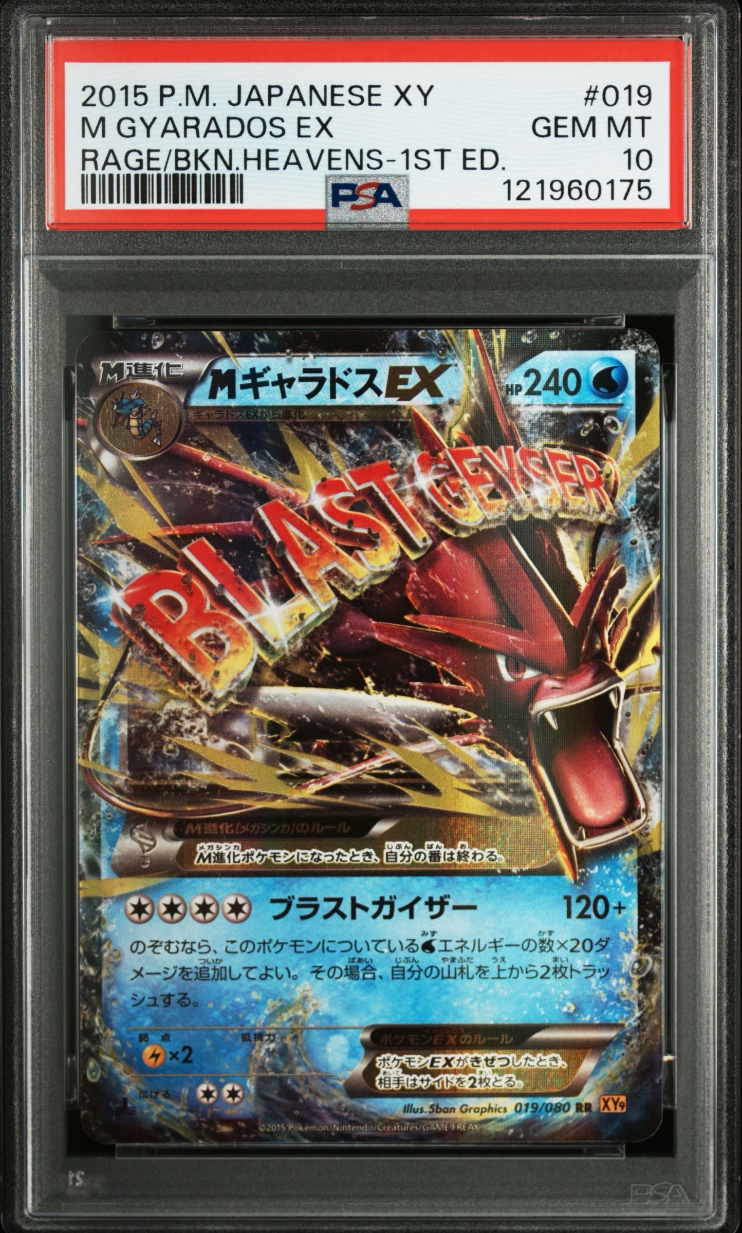 MギャラドスEX RR :1ED [XY9 019/080](拡張パック「破天の怒り」)
