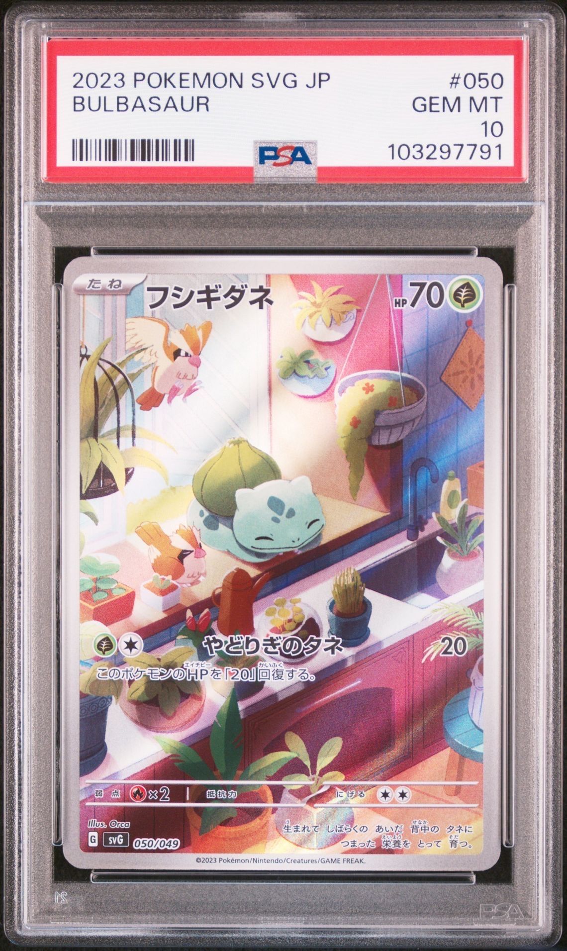 フシギダネ :フルイラスト [SVG 050/049](スペシャルデッキセットex「フシギバナ・リザードン・カメックス」)