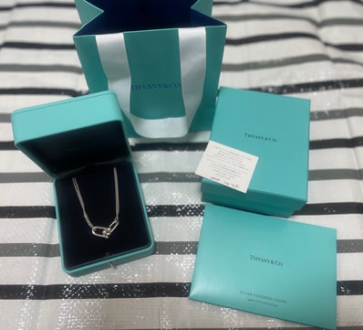 Tiffany & Co. Tiffany Hardware Large Double Link Pendant "Silver"