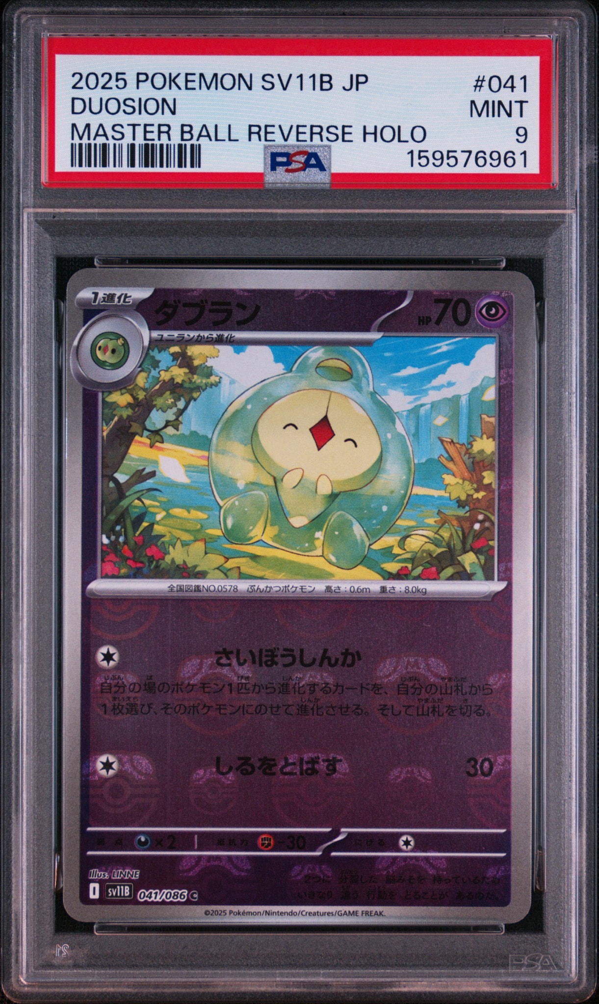 ダブラン C :マスターボールミラー [SV11B 041/086](拡張パック「ブラックボルト」)