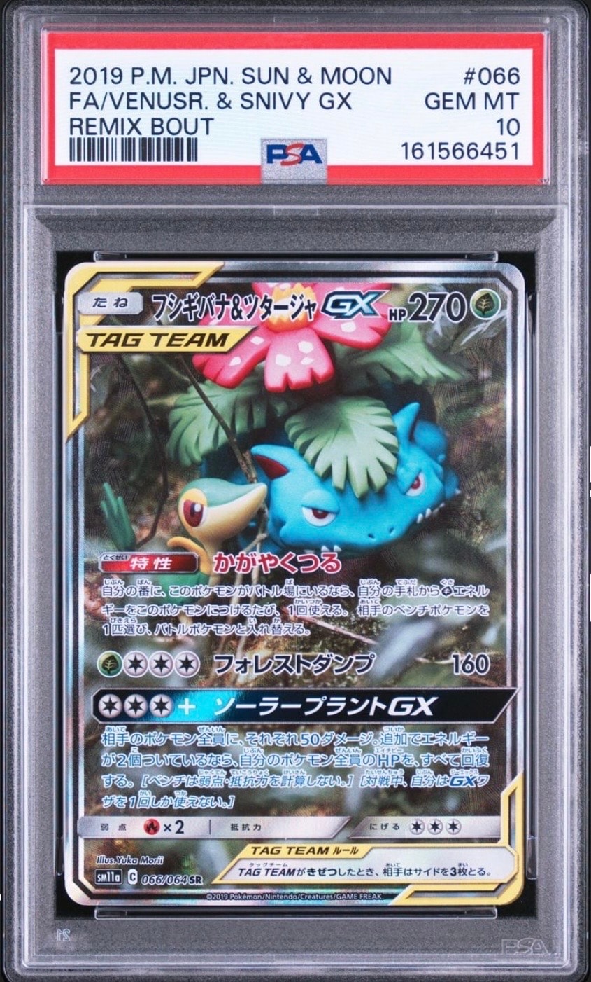フシギバナ&ツタージャGX SR: SA[SM11a 066/064](強化拡張パック