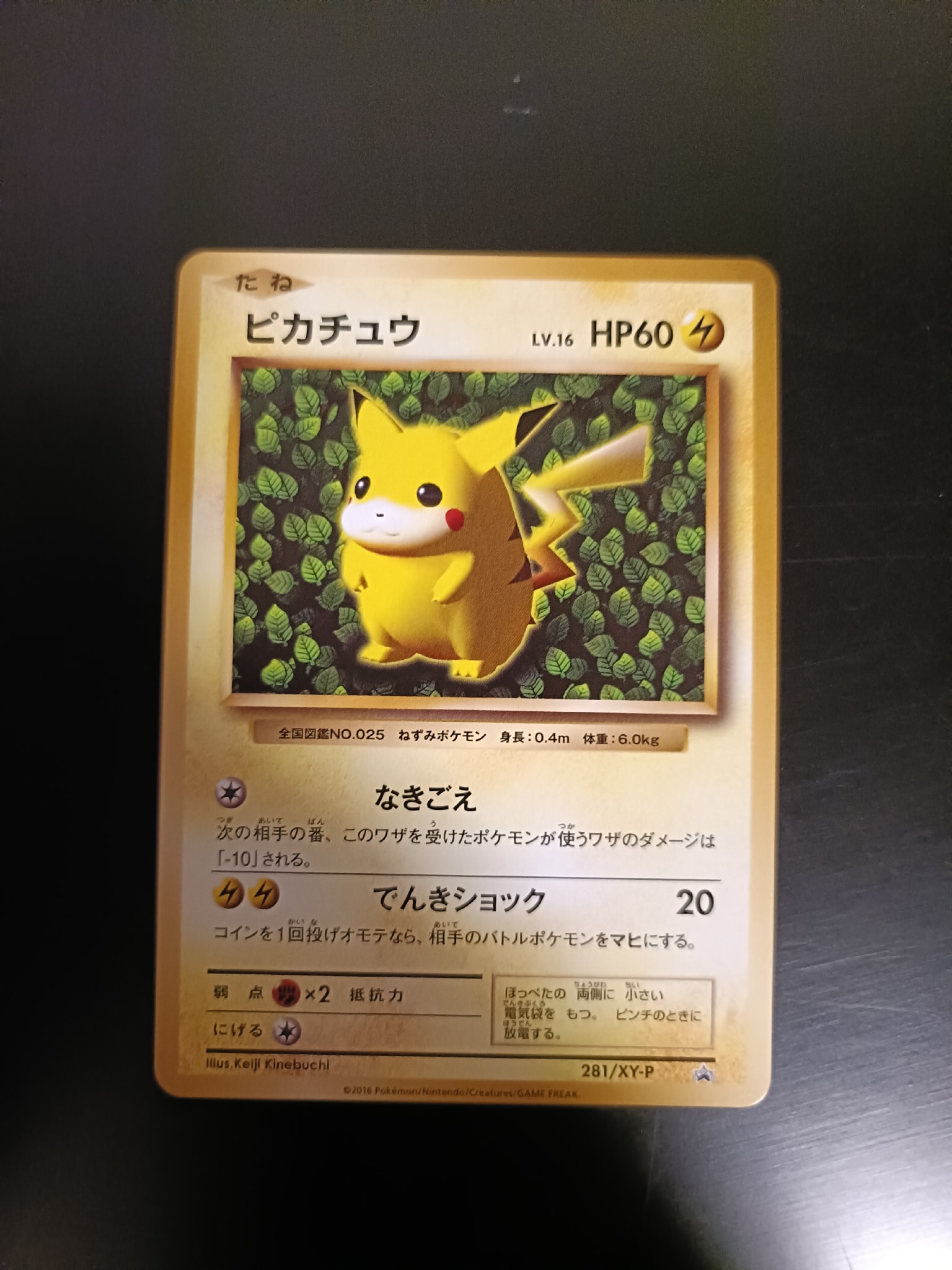ピカチュウ: プロモ[XY-P 281/XY-P](プロモーションカード「XY-P