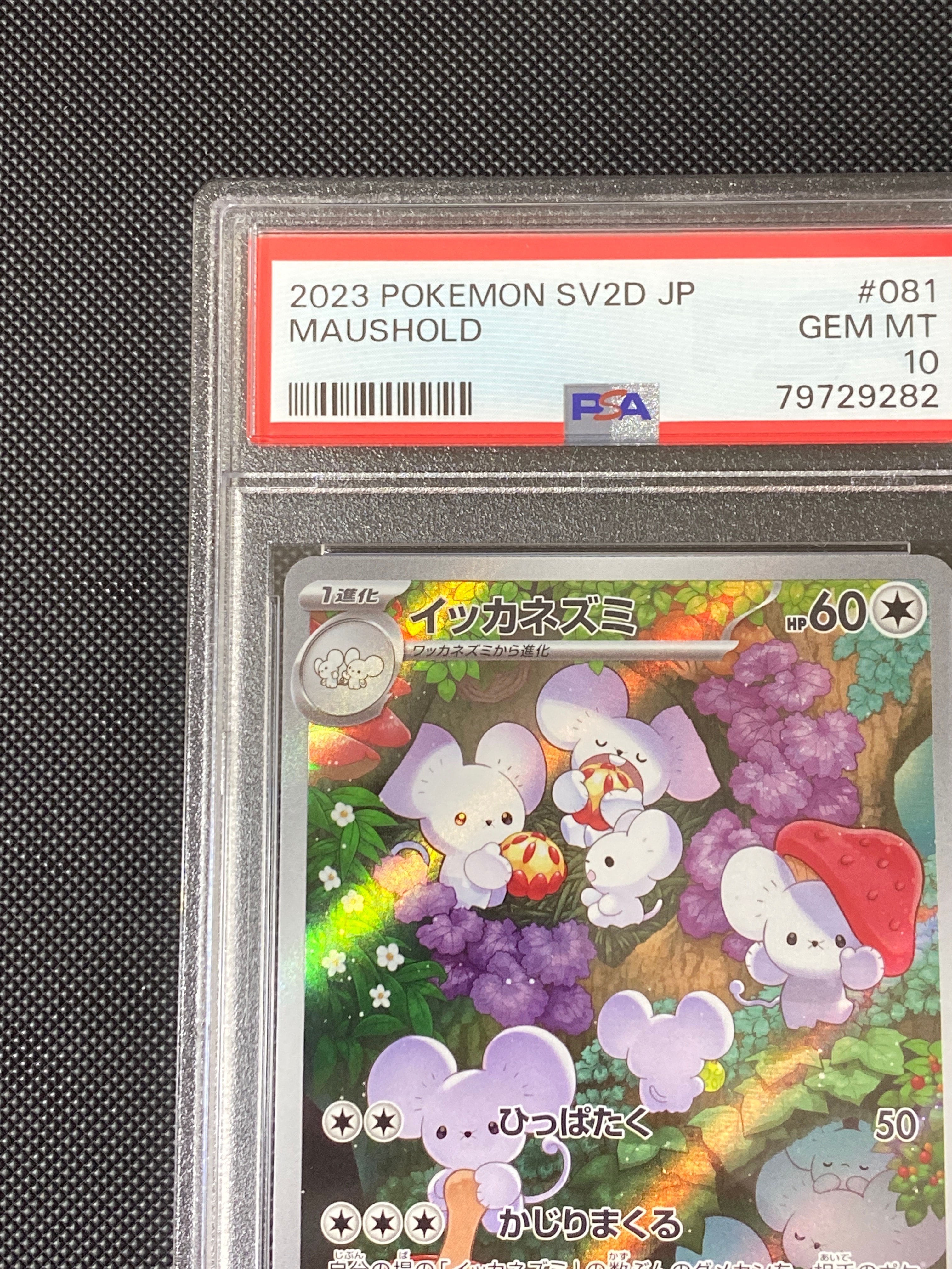 ★PSA10★【イッカネズミ/AR/SV2D】MAUSHOLD 081/071 PSA 10 GEM MINT Japanese Pokemon 2023 Maushold 081/071 AR Clay
