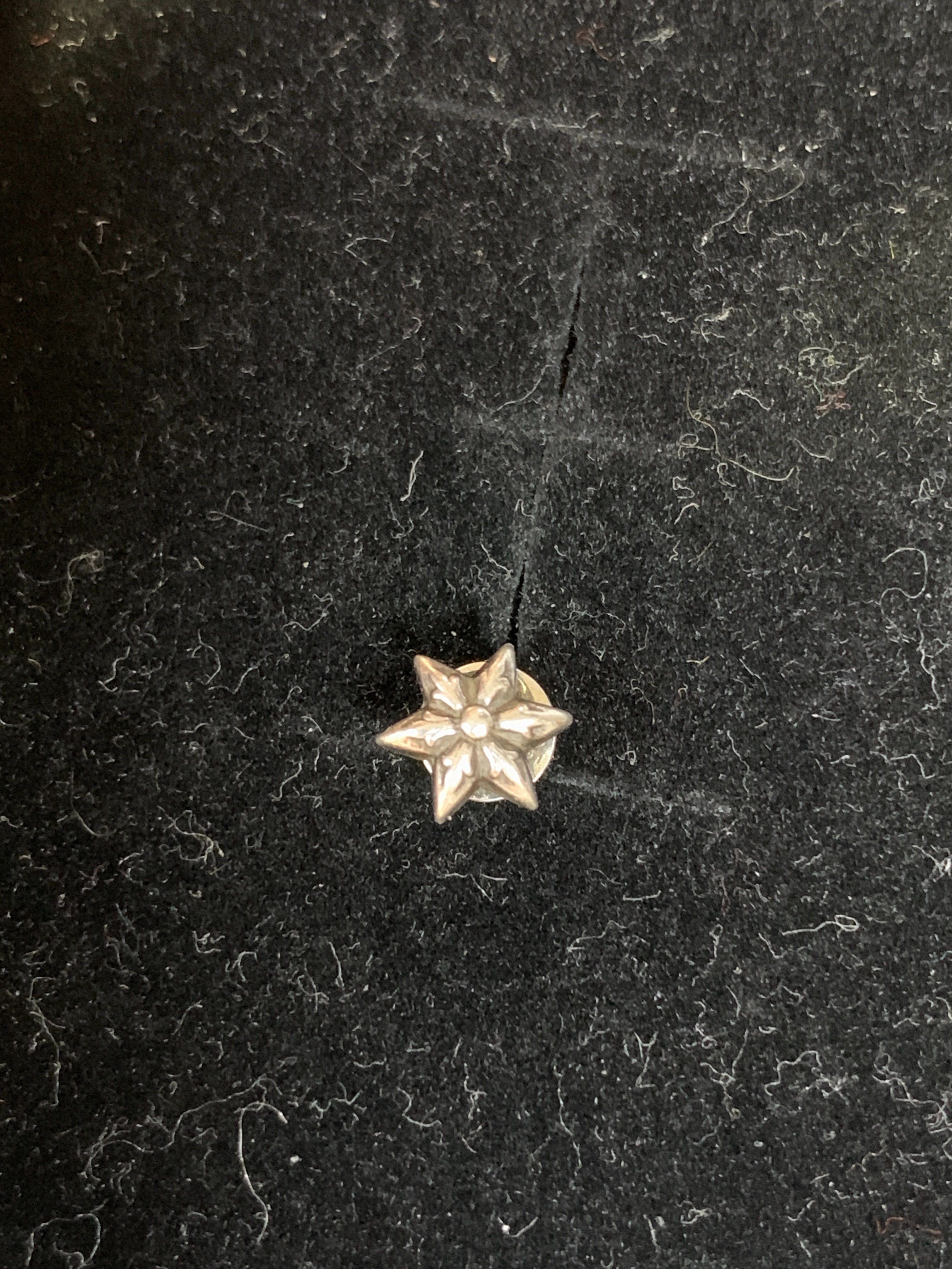 Chrome Hearts Star Stud Earrings "Silver"