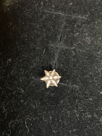 Chrome Hearts Star Stud Earrings "Silver"