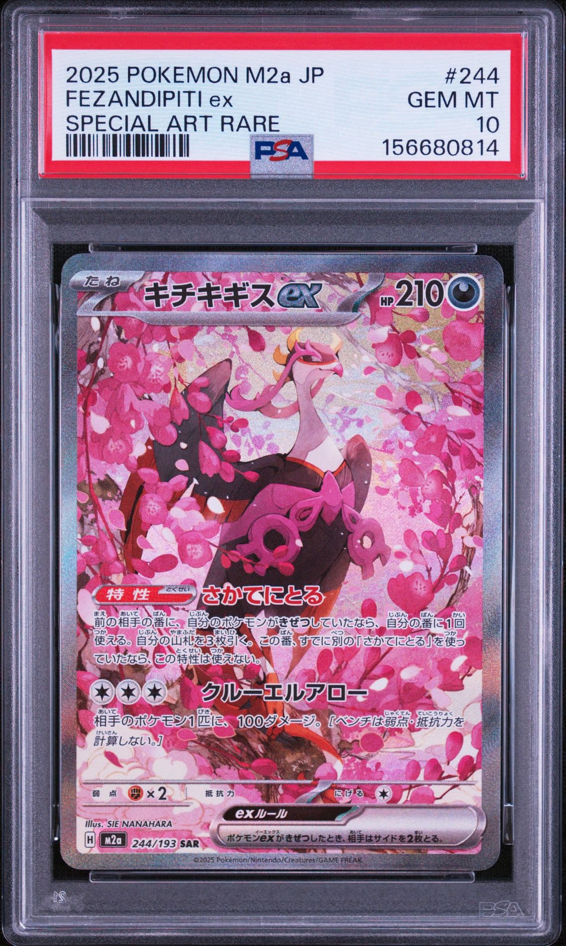 キチキギスex SAR [M2a 244/193](ハイクラスパック「MEGAドリームex」)
