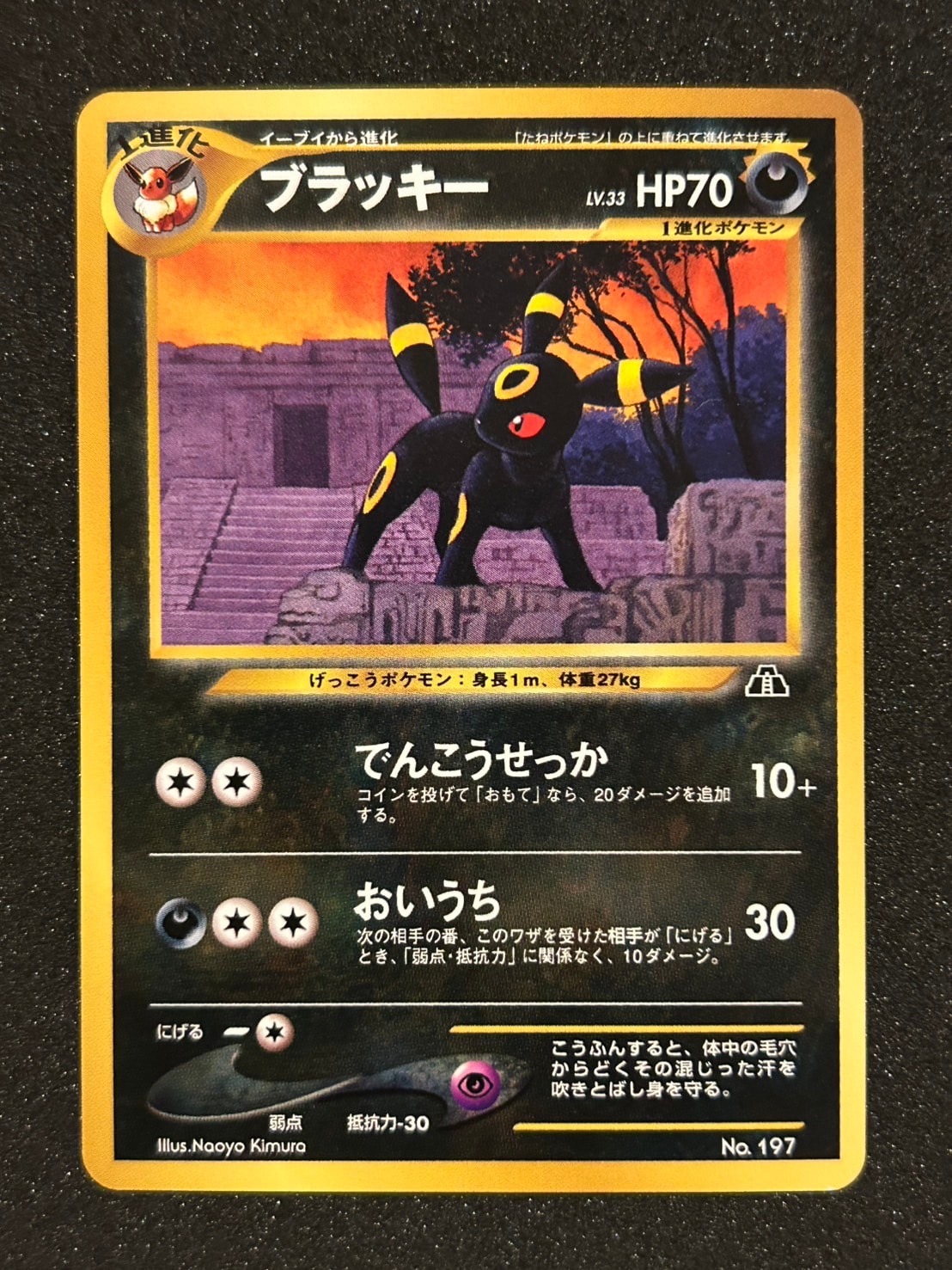 ブラッキープレミアムファイル2: 旧裏[neoP2 No.197](プレミアムファイル2)