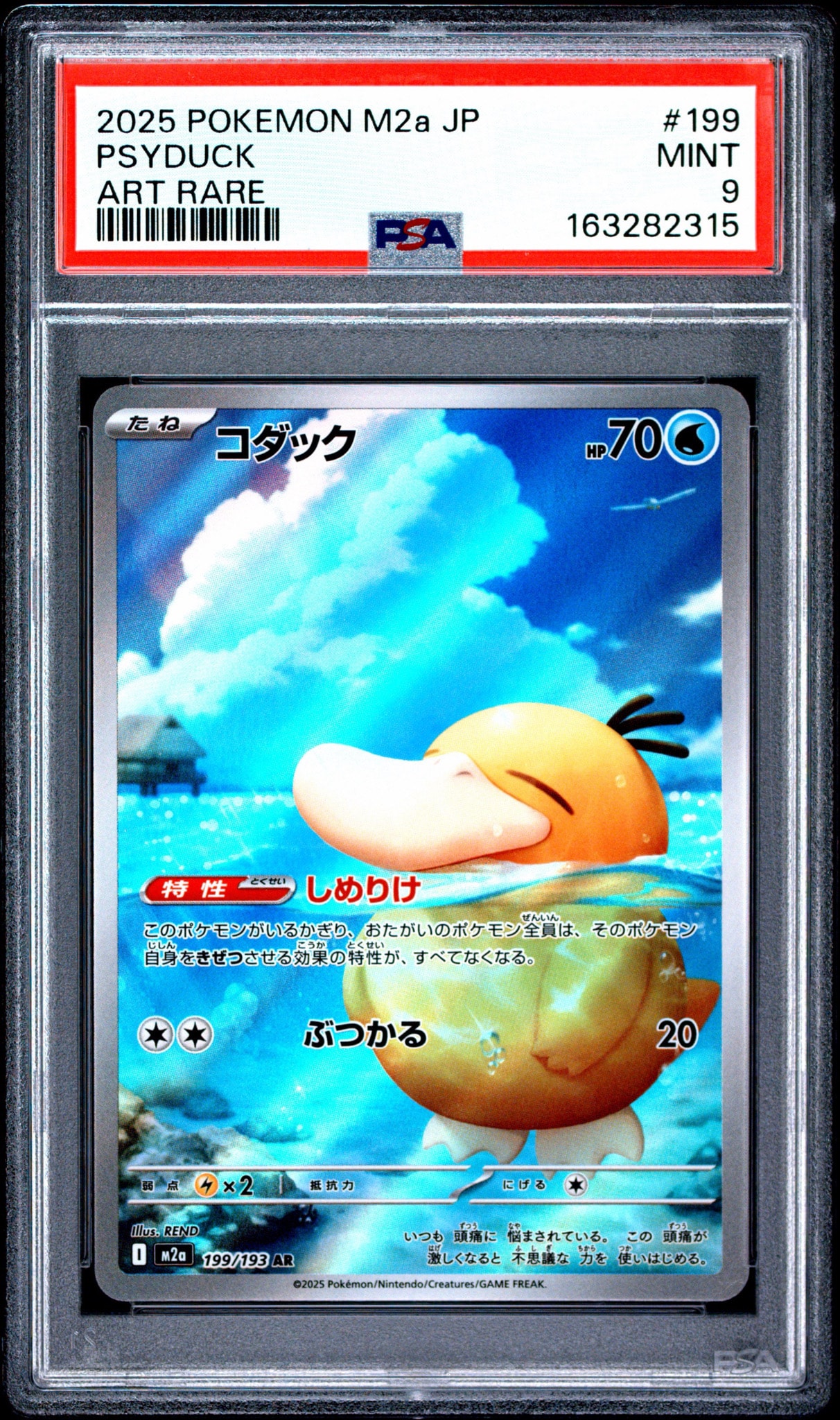コダック AR [M2a 199/193](ハイクラスパック「MEGAドリームex」)