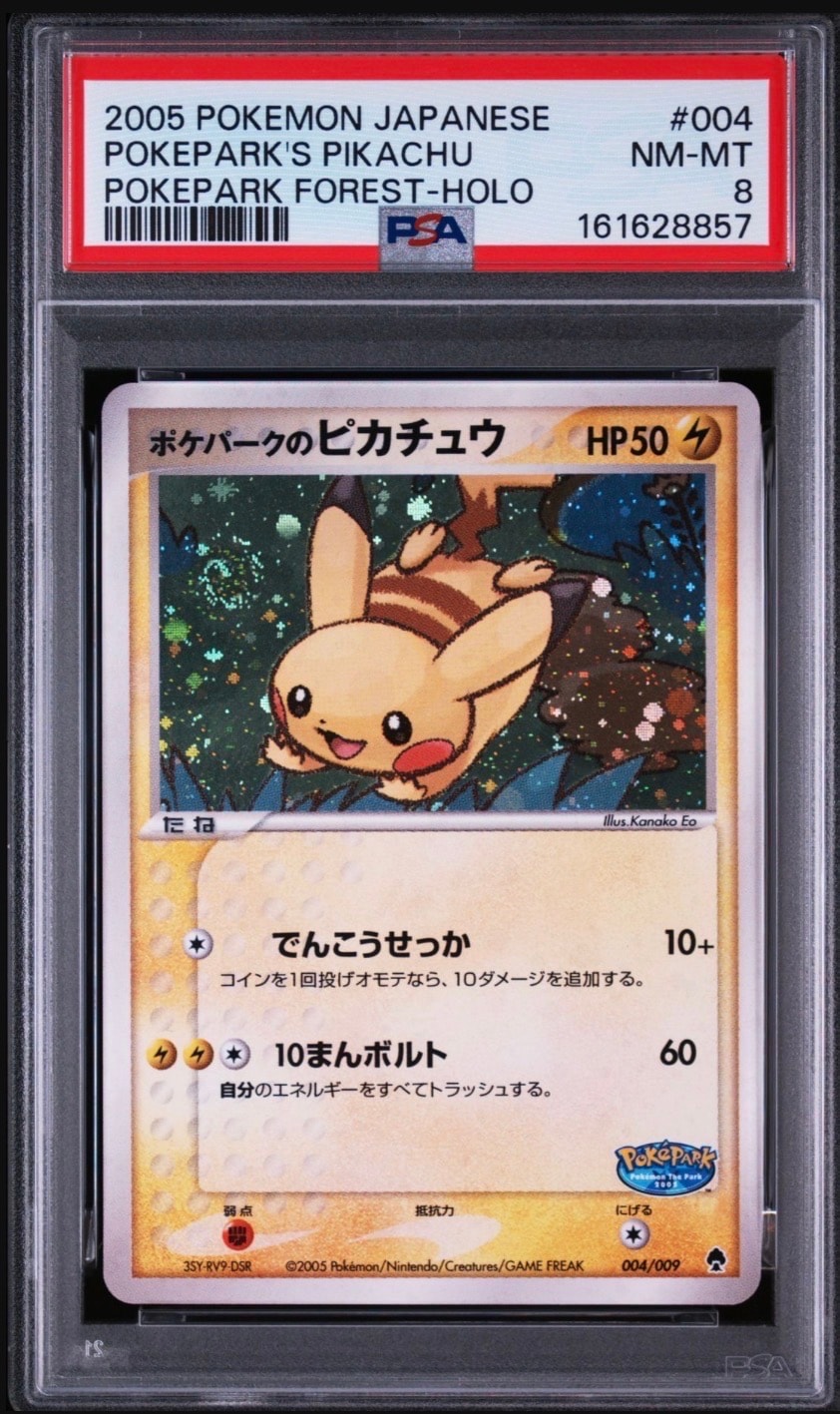 メッソン カナザワ: プロモ[S-P 146](プロモーションカード「S-P」)の