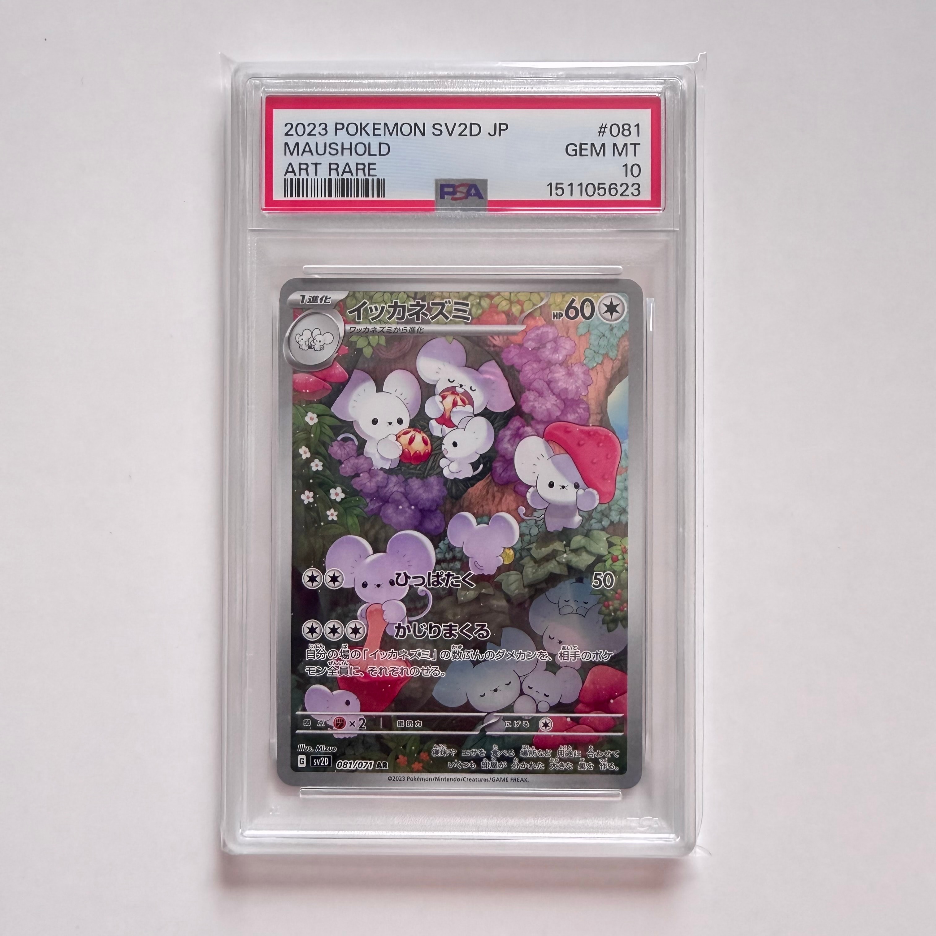 イッカネズミ AR[SV2D 081/071](拡張パック「クレイバースト」)の新品