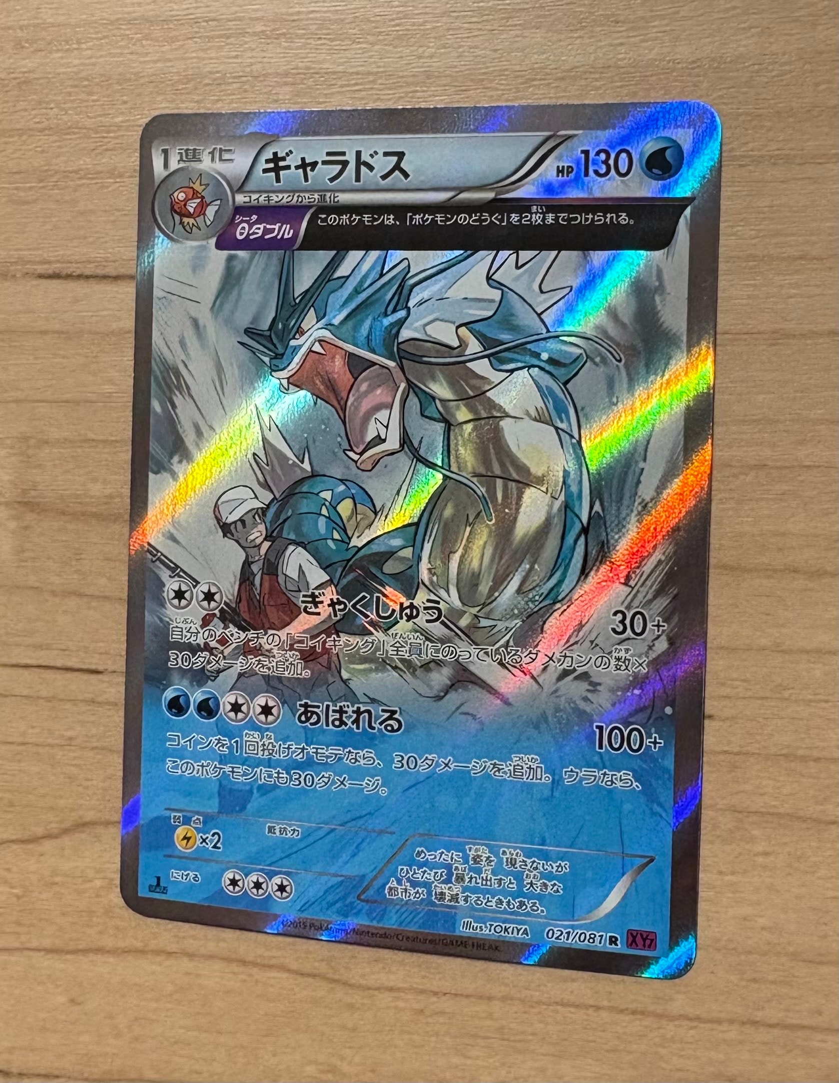 ギャラドス R :1ED [XY7 021/081](拡張パック「バンデットリング」)