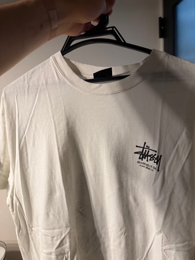 STUSSY Tシャツ