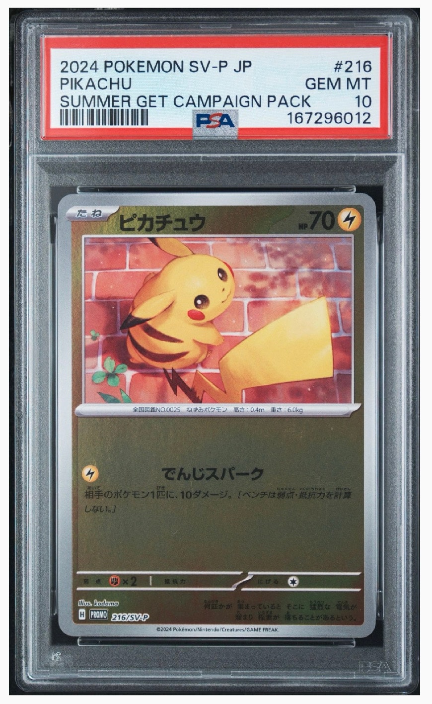 ピカチュウ P [SV-P 216](プロモカードパック「ポケカの夏がキタ!プロモカードGetキャンペーン!」)