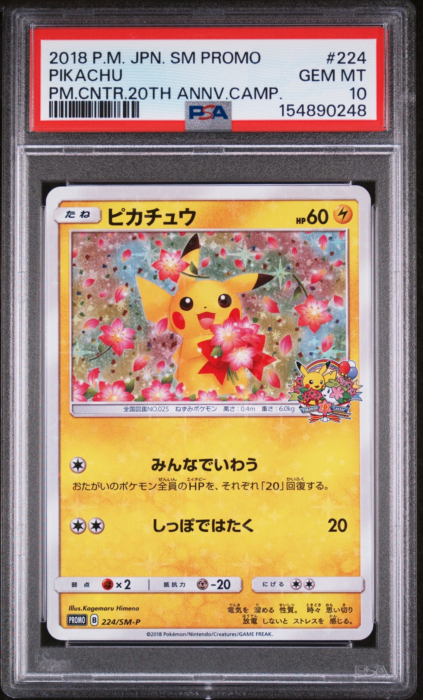 ピカチュウ: プロモ[SM-P 224](プロモーションカード「SM-P」)の新品