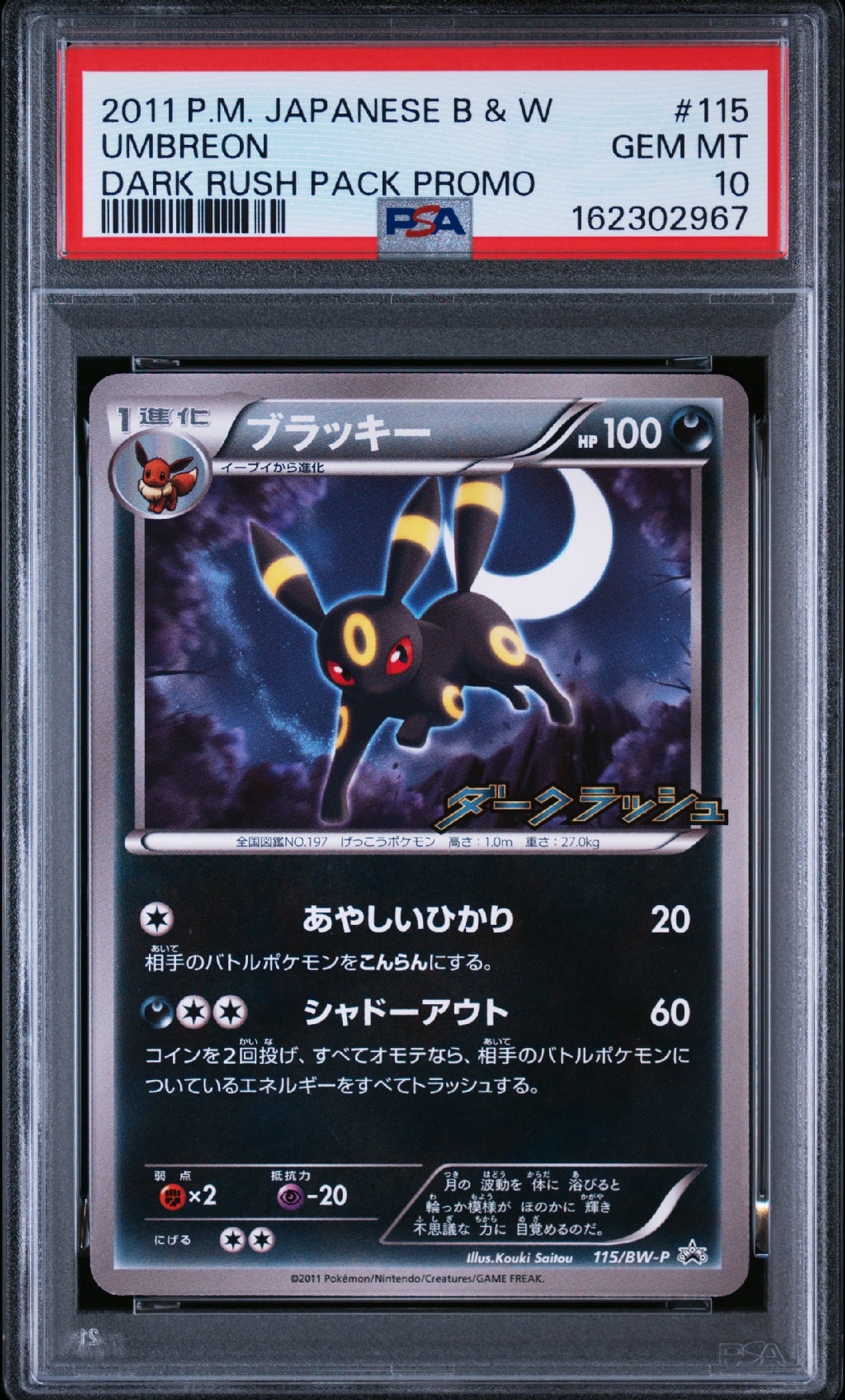 ブラッキー P [BW-P 115/BW-P](プロモーションカード「ダークラッシュ