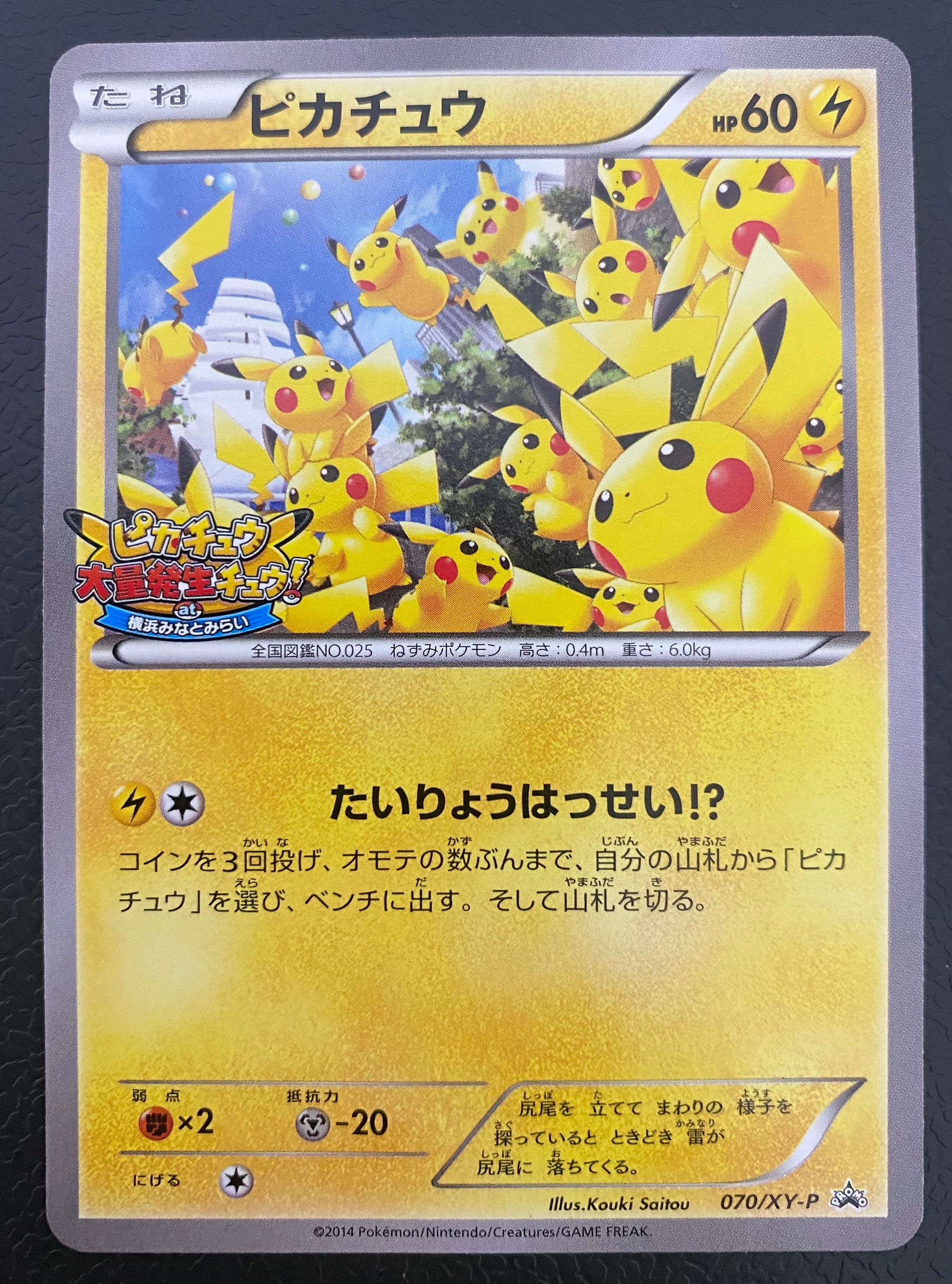 ピカチュウ: プロモ (開封済) [XY-P 070/XY-P](プロモーションカード