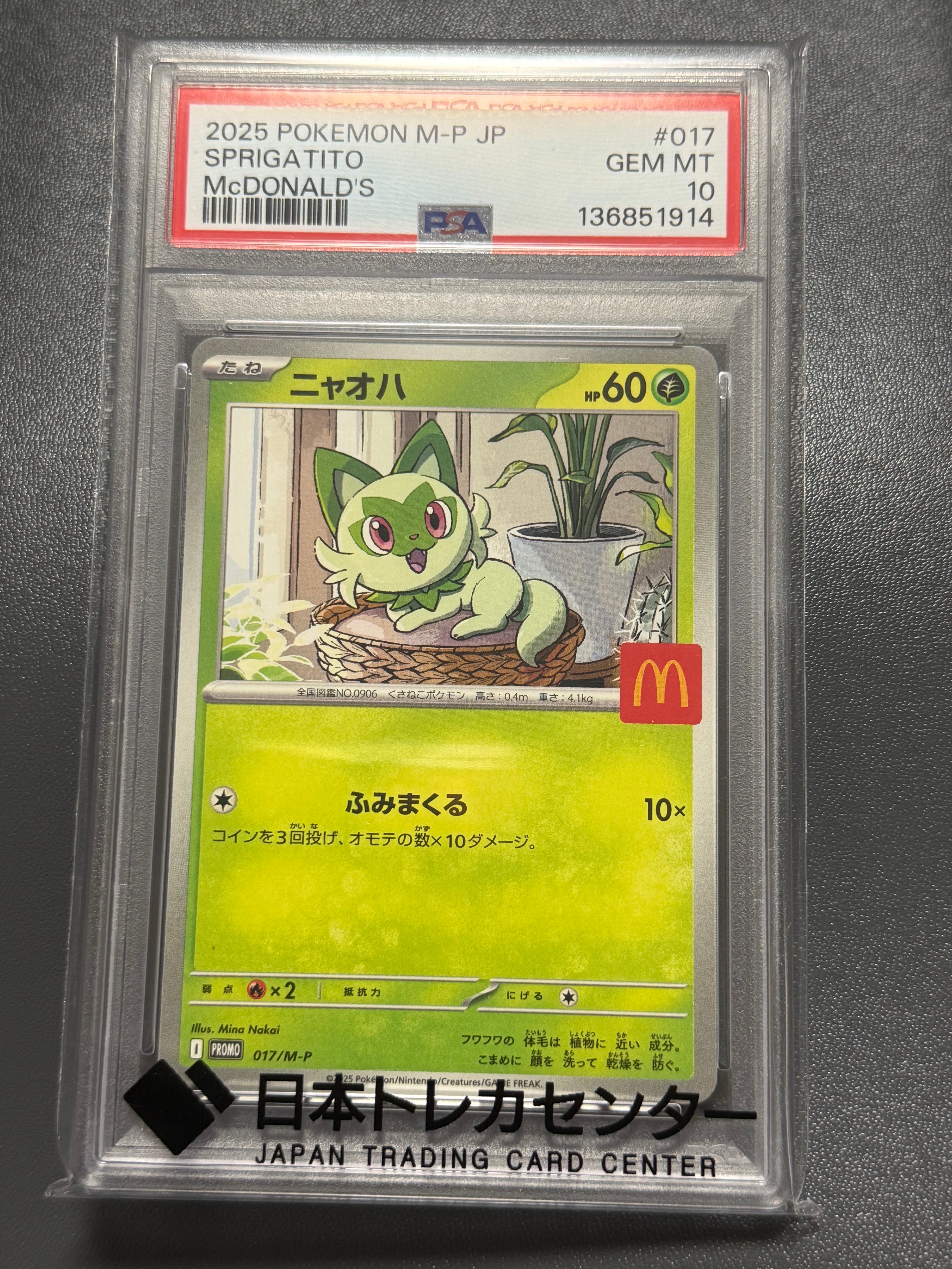 メイのはげまし SAR [M3 115/080](拡張パック「ムニキスゼロ」)の新品