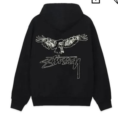 Stussy Wingspan Hoodie "Black"
