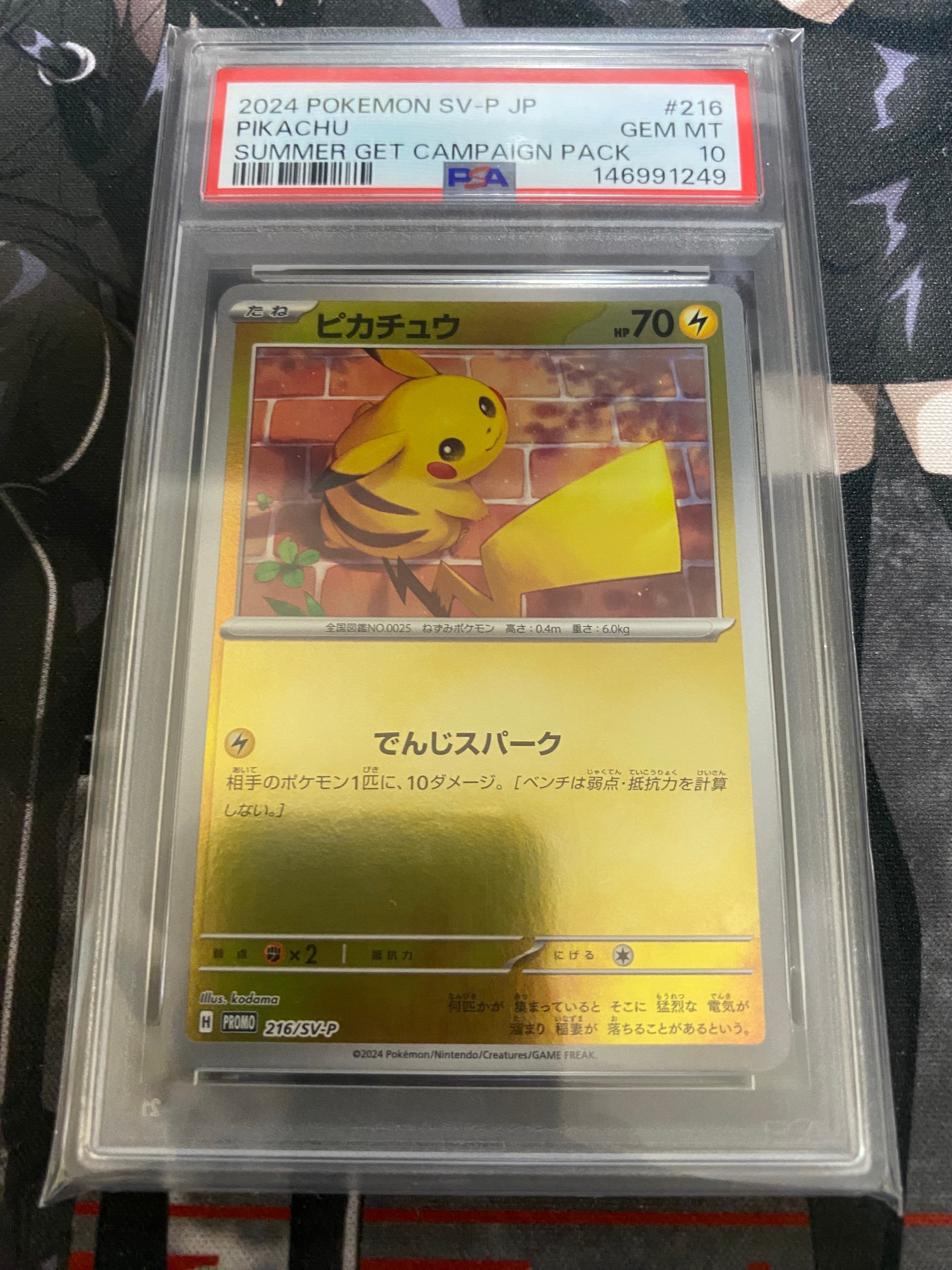 PSA10】ピカチュウ P [SV-P 216](プロモカードパック「ポケカの夏が