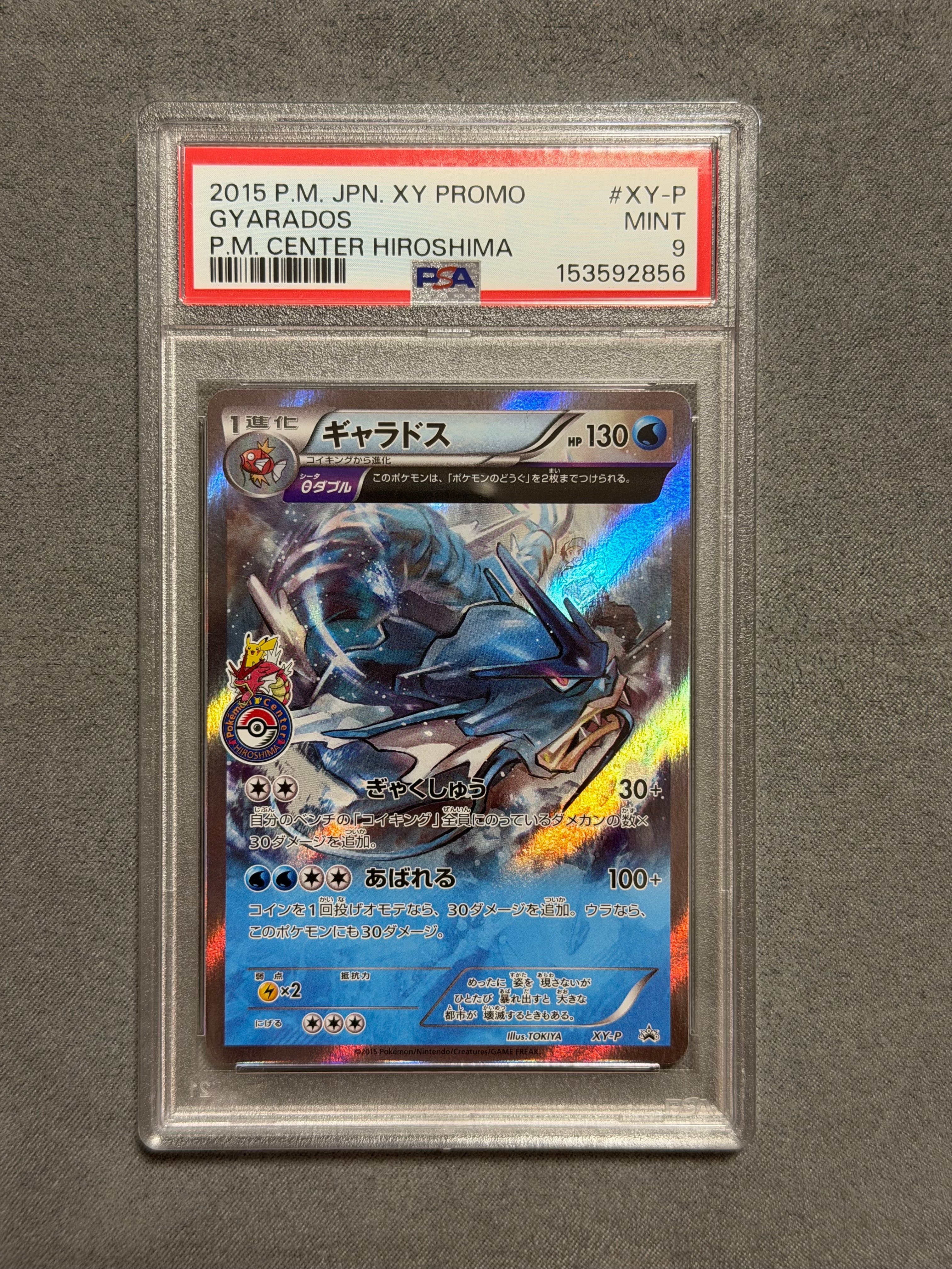 ギャラドス: プロモ[XY-P](プロモーションカード「XY-P」)の新品/中古