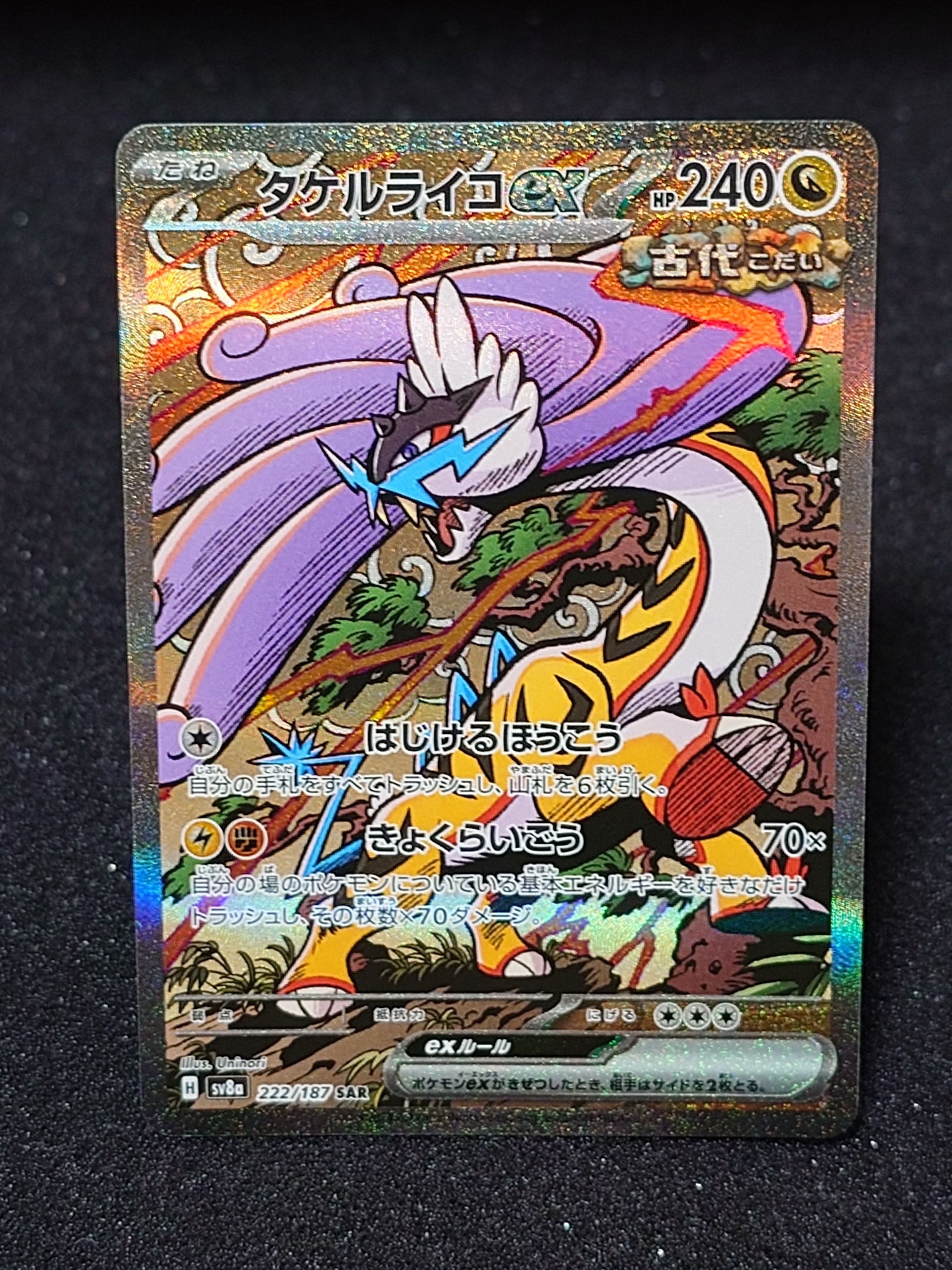 タケルライコex SAR [SV8a 222/187](ハイクラスパック「テラスタルフェスex」)