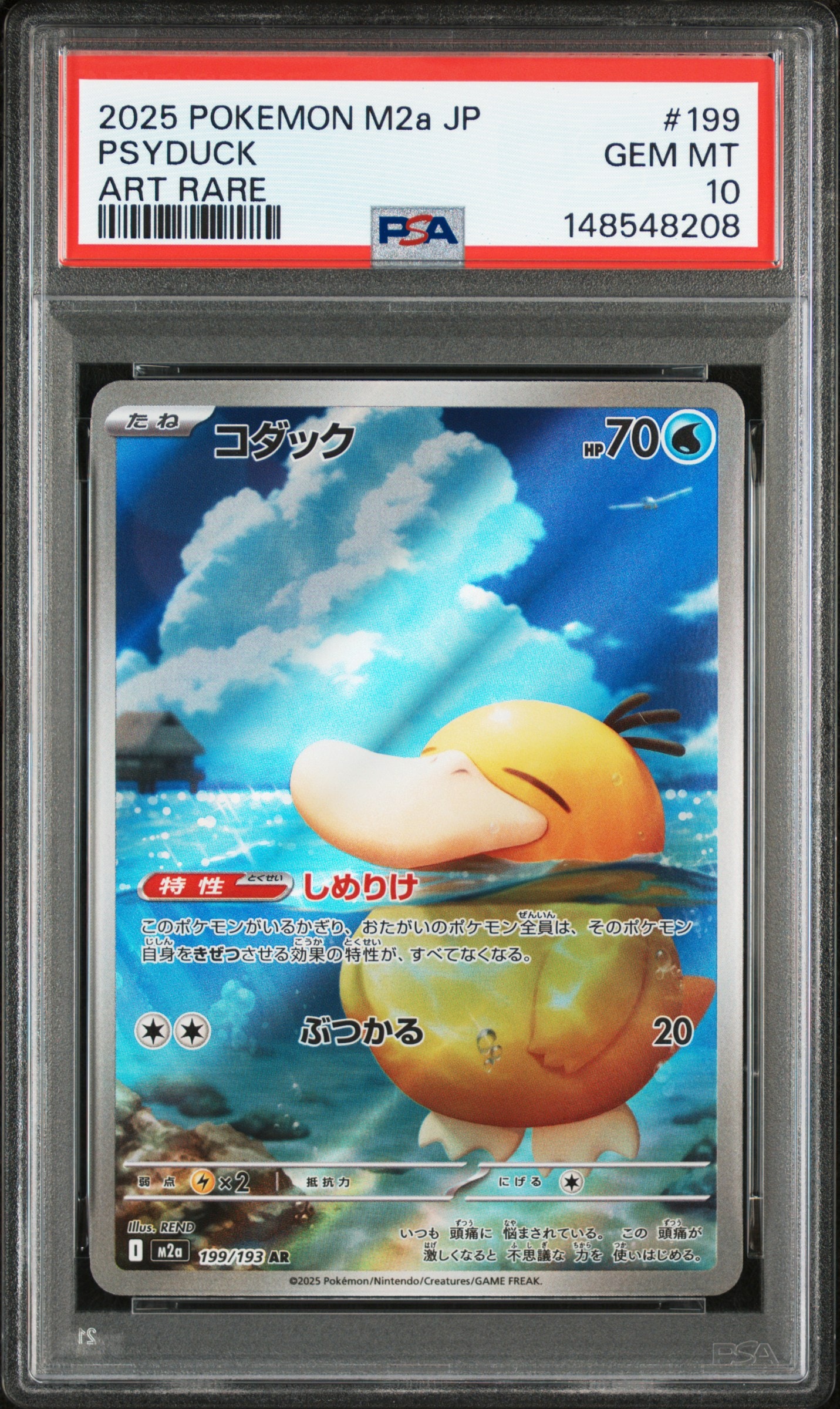 コダック AR [M2a 199/193](ハイクラスパック「MEGAドリームex」)の