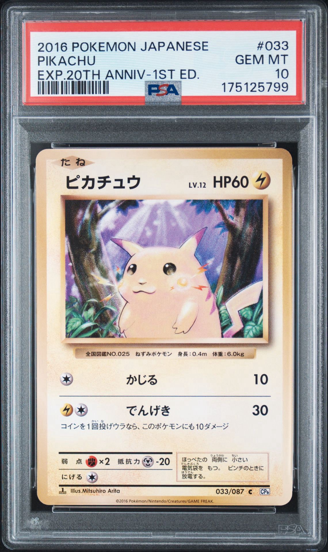 ピカチュウ C :1ED [CP6 033/087](コンセプトパック