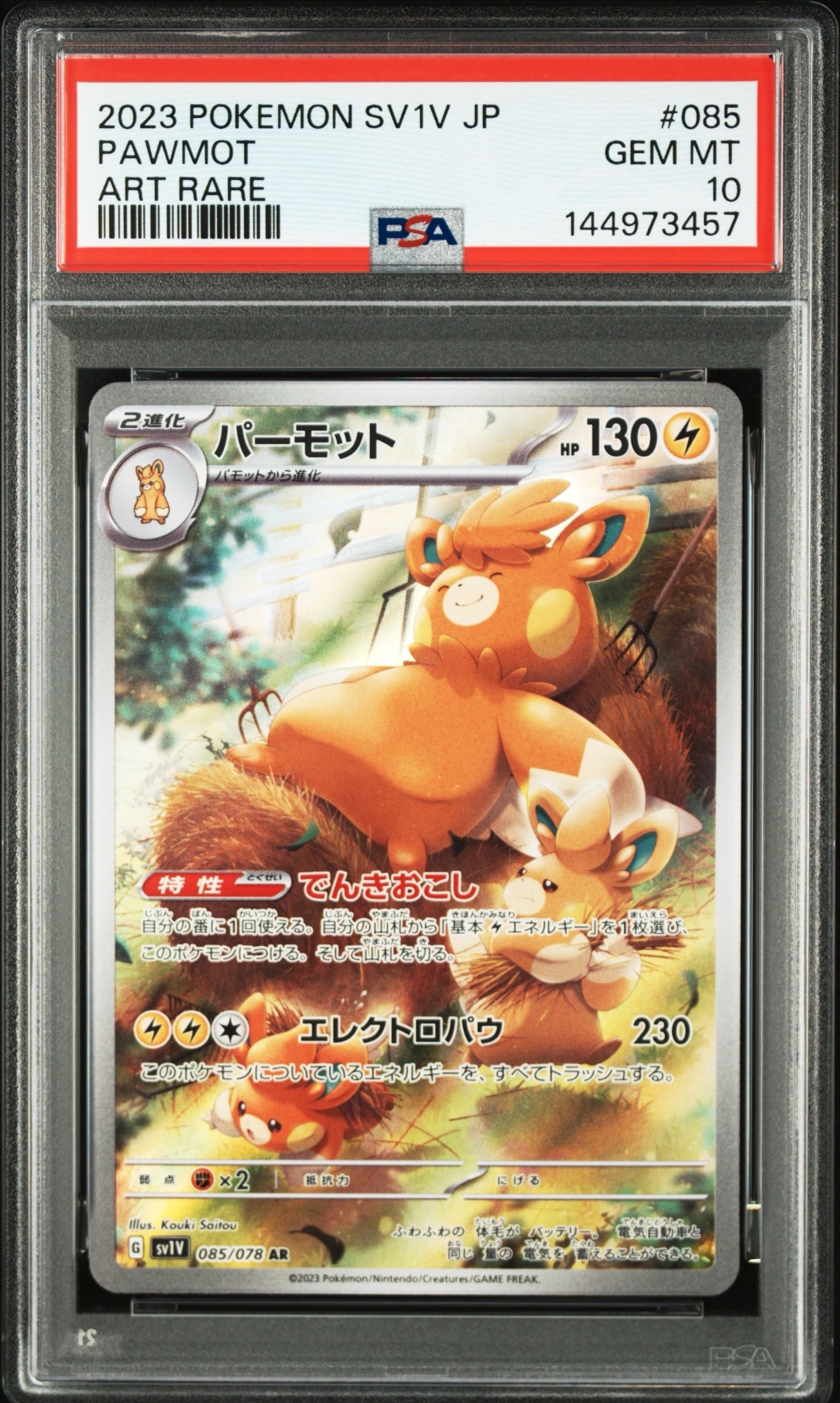 PSA10】ブラッキー: プロモ P [S-P 161](ポケモンカードゲーム ソード