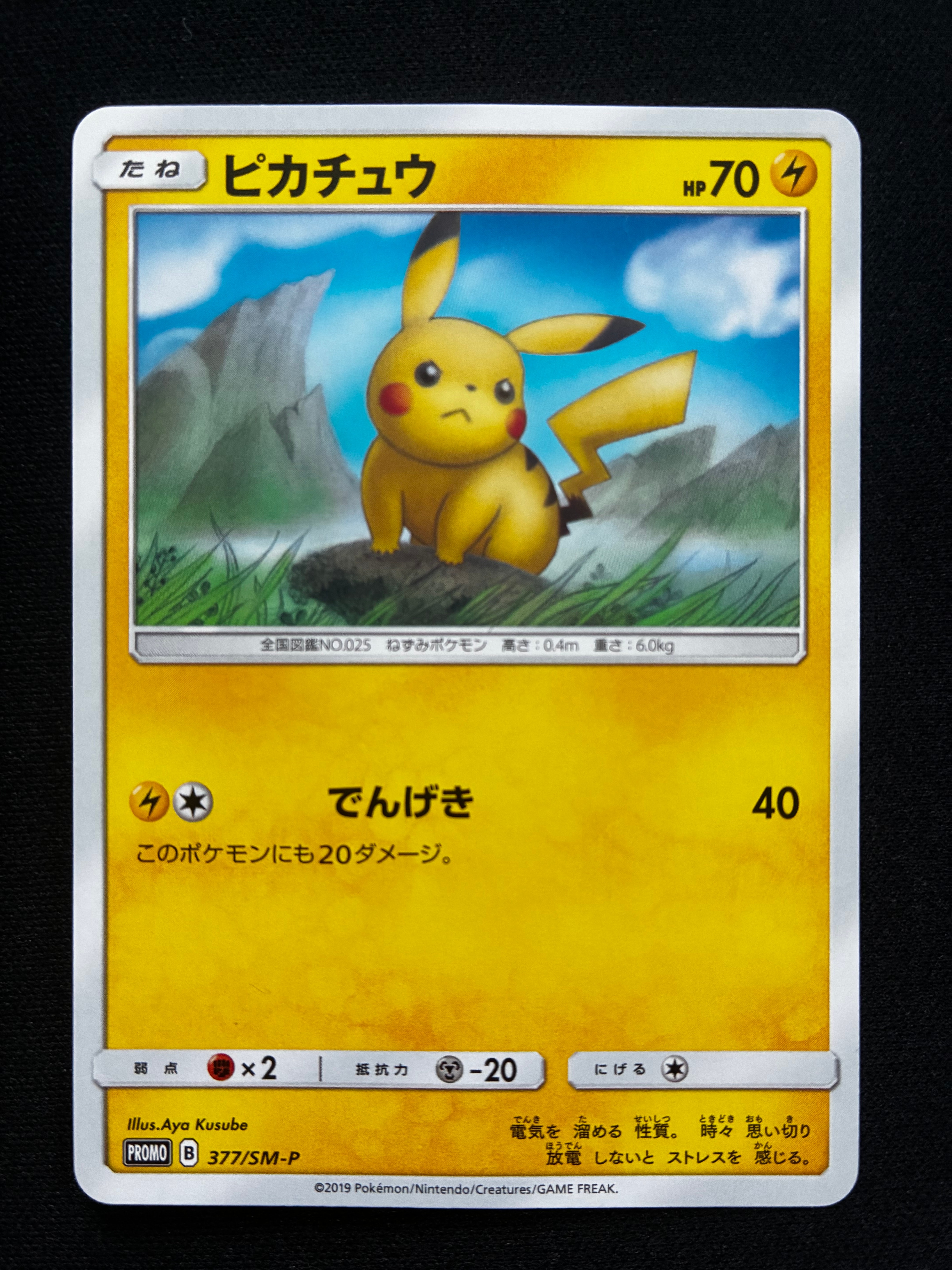 PSA10】ピカチュウ P [SM-P 377](プロモーションカード「ローソン