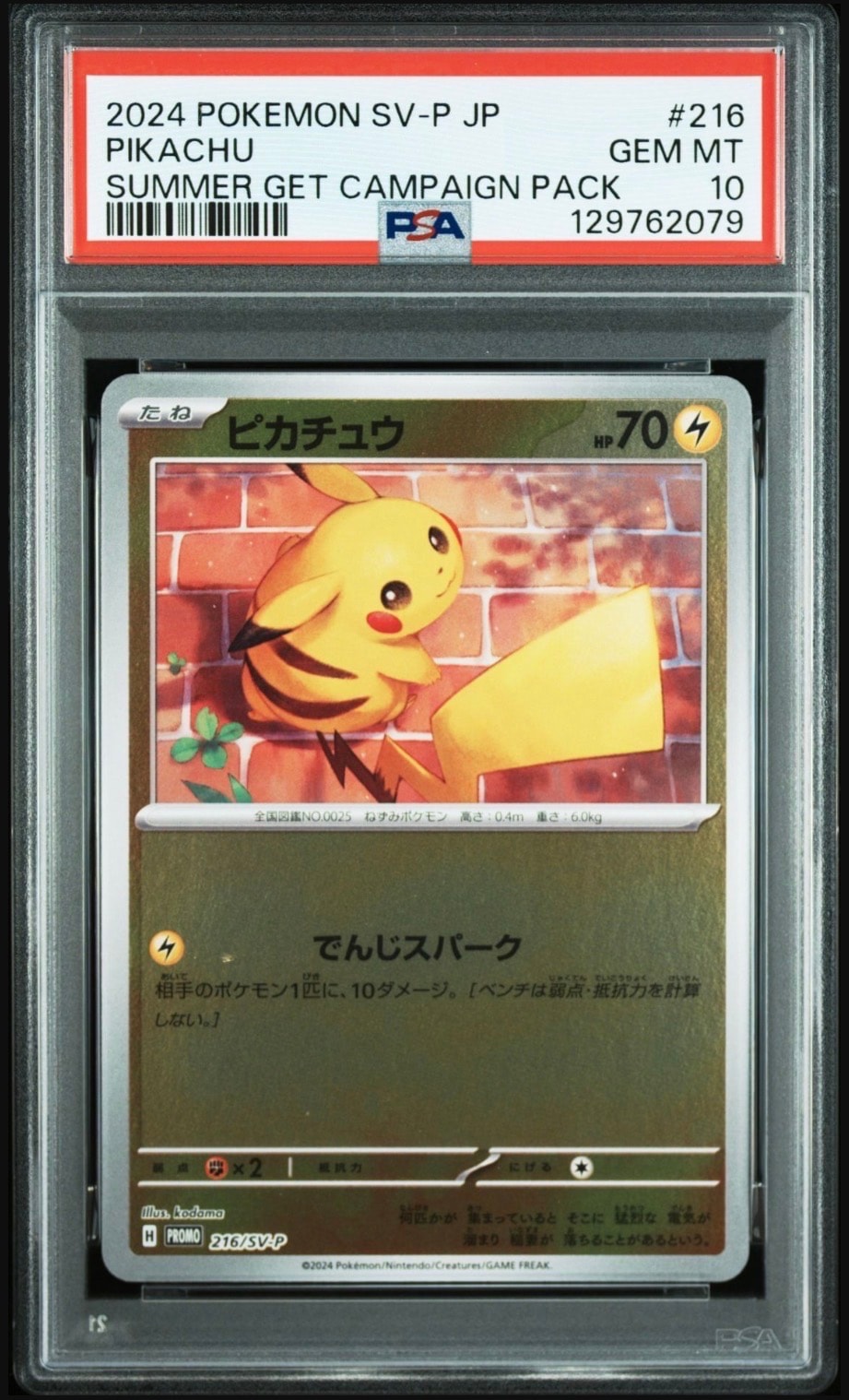 ピカチュウ P [SV-P 216](プロモカードパック「ポケカの夏がキタ!プロモカードGetキャンペーン!」)