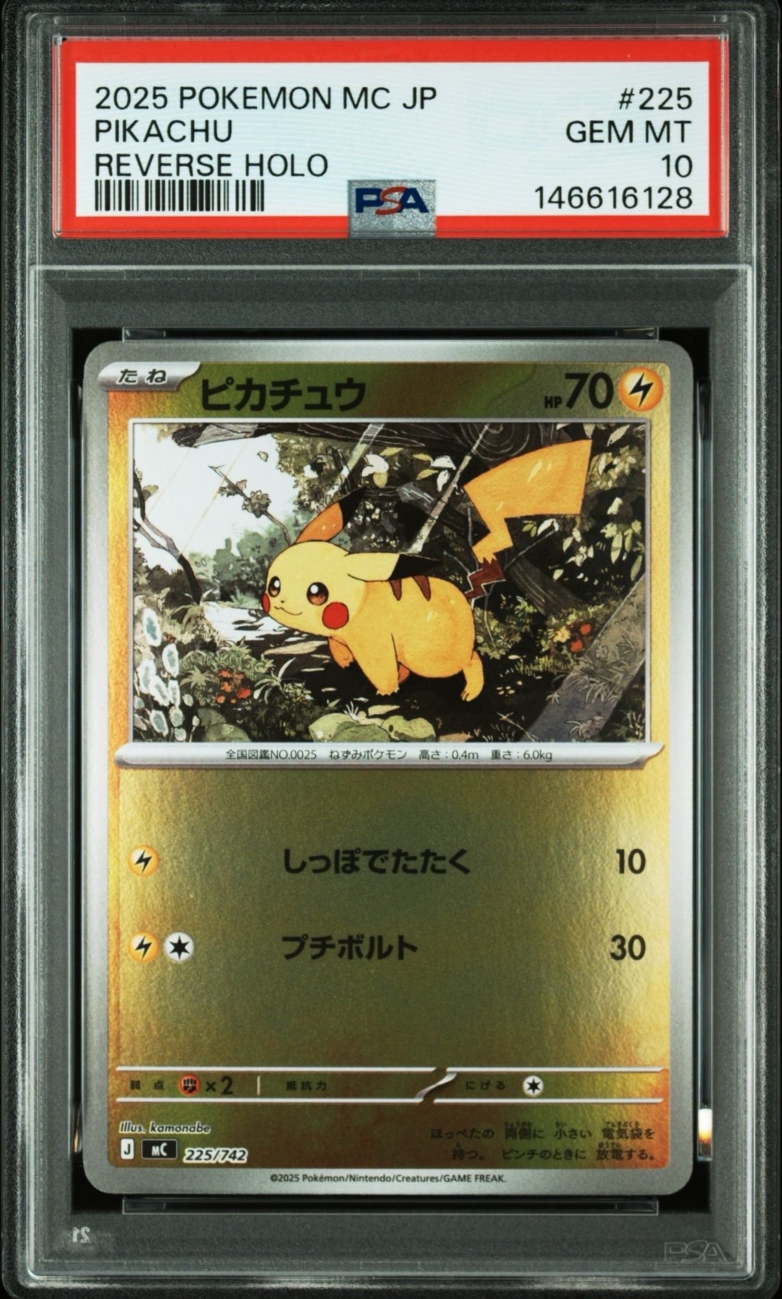 ピカチュウ: プロモ[SM-P 224](プロモーションカード「SM-P」)の新品