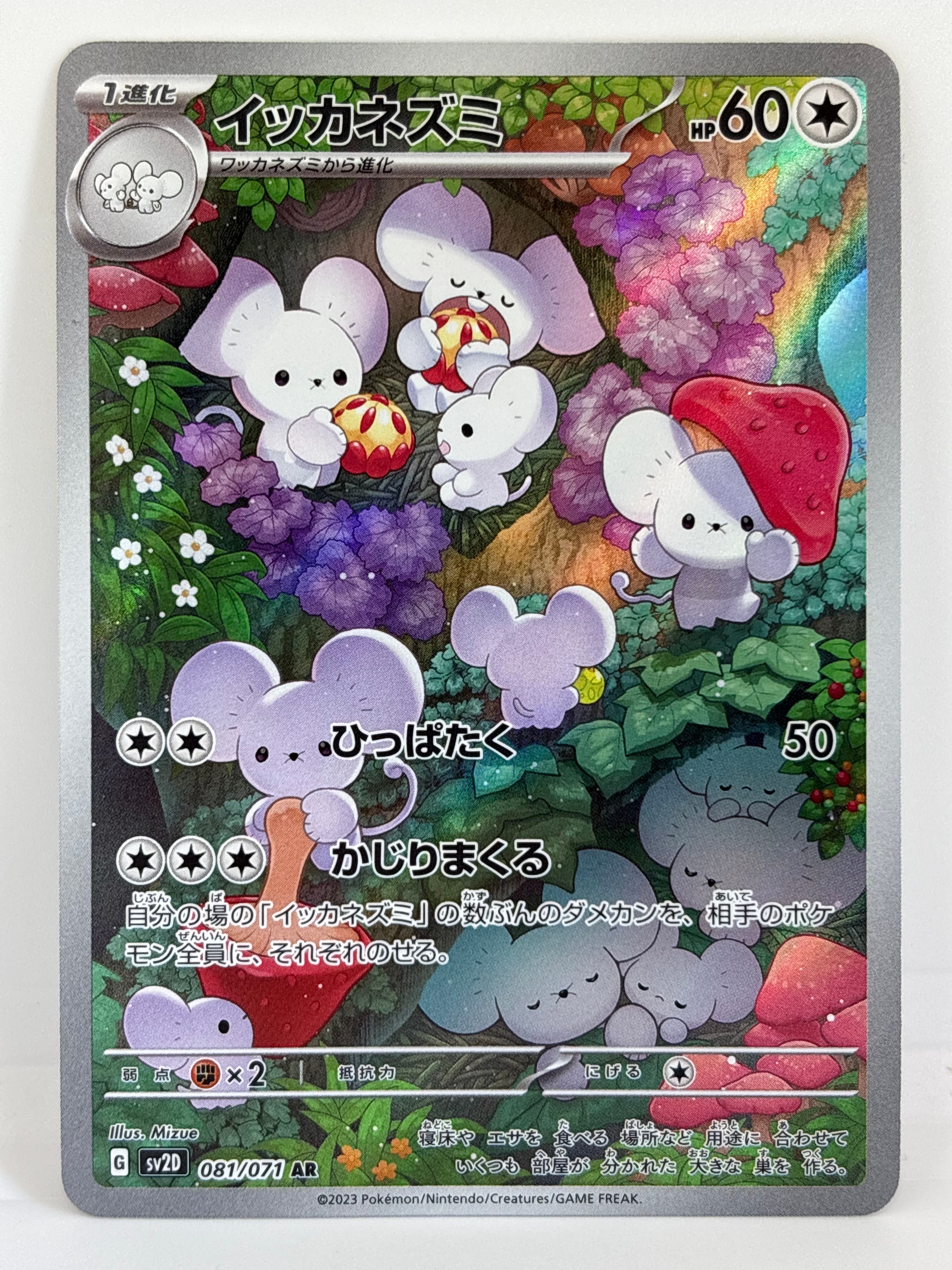 PSA10】ミチーナしんでん [DPt-P 044](プロモーションカード「ポケモン