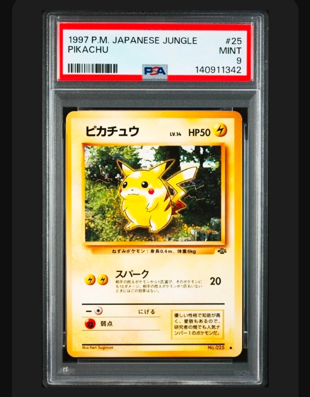 旧裏　極美品　ピカチュウ ポケモンジャングル　激カワイラスト　左センタリング◎ 他鑑定品】ピカチュウ ○ : 旧裏 [PMCG2 No.025](拡張パック「ポケモン