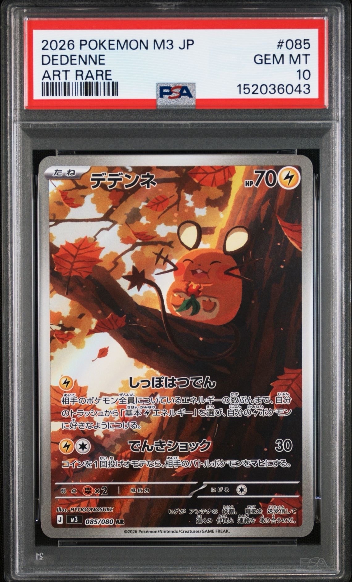 ポケモンカード キュレムEX 084/081 バンデットリング キュレムEX SR :1ED [XY7 084/081](拡張パック「バンデットリング」)の