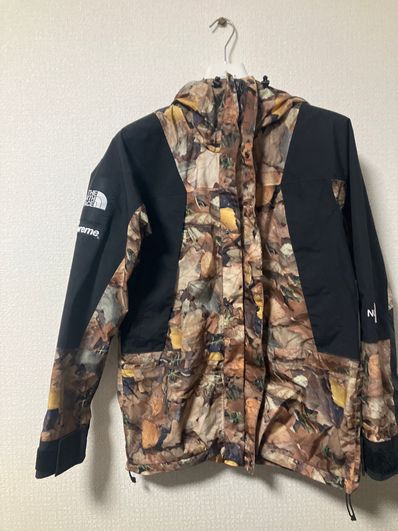 Supreme x The North Face Leaves Mountain Light Jacket "Leaves"