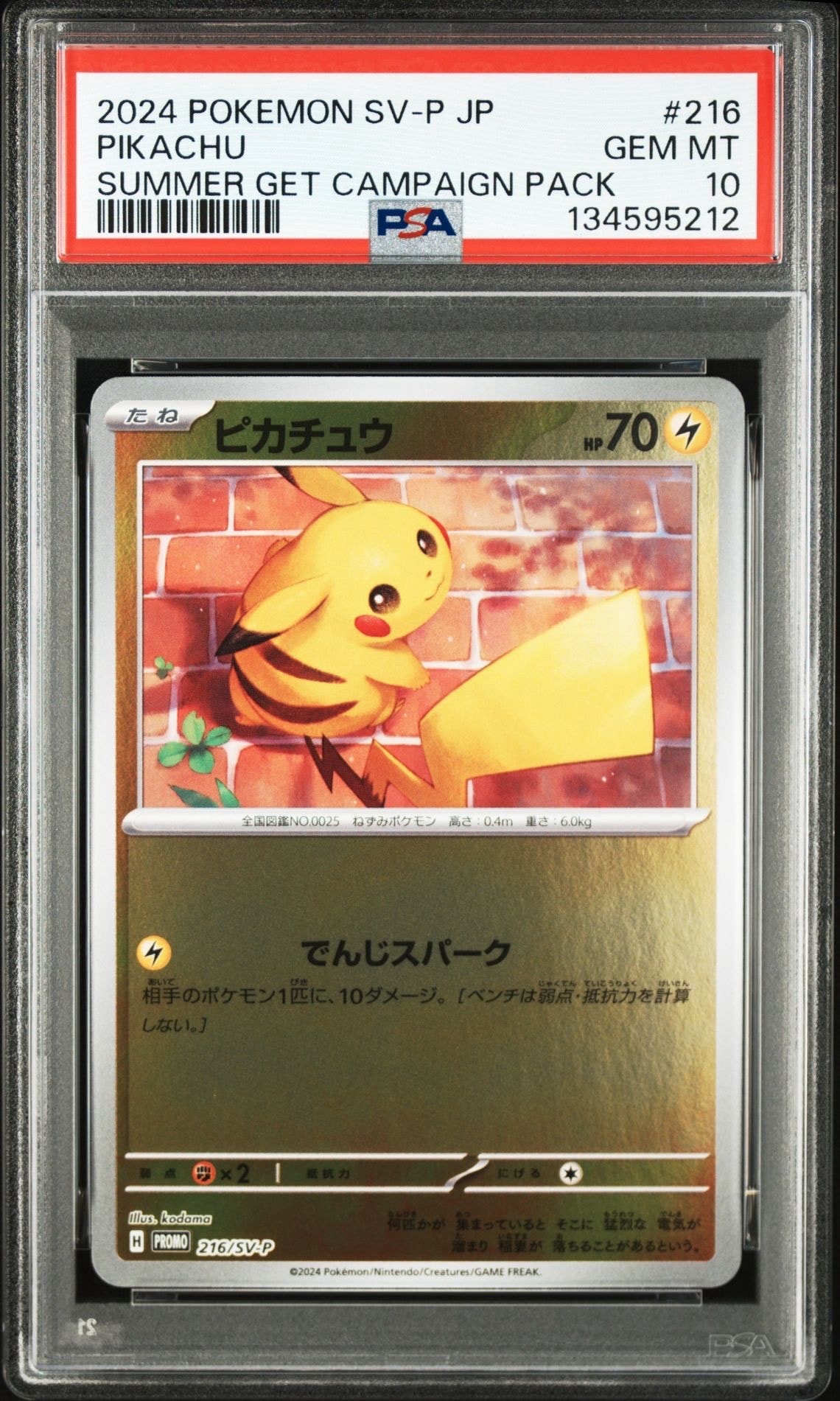 ピカチュウ P [SV-P 216](プロモカードパック「ポケカの夏がキタ!プロモカードGetキャンペーン!」)