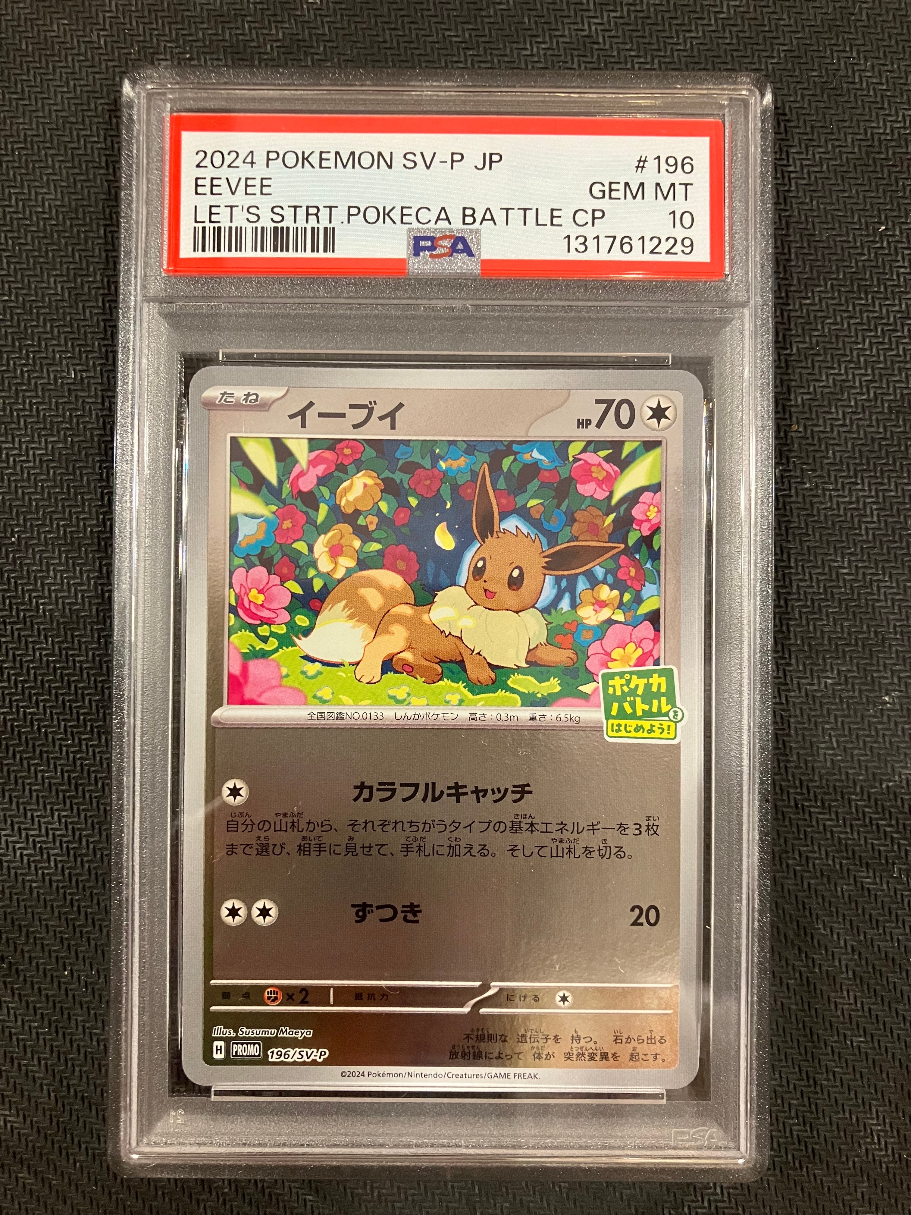 イーブイ P [SV-P-SM 196](プロモカードパック「ポケカバトルをはじめよう!キャンペーン」)