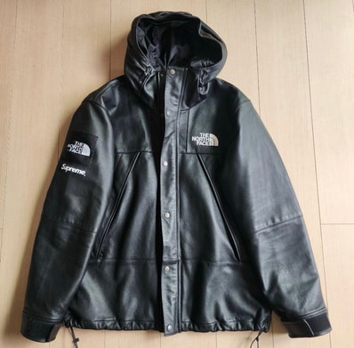 Supreme x The North Face Leather Mountain Parka "Black"