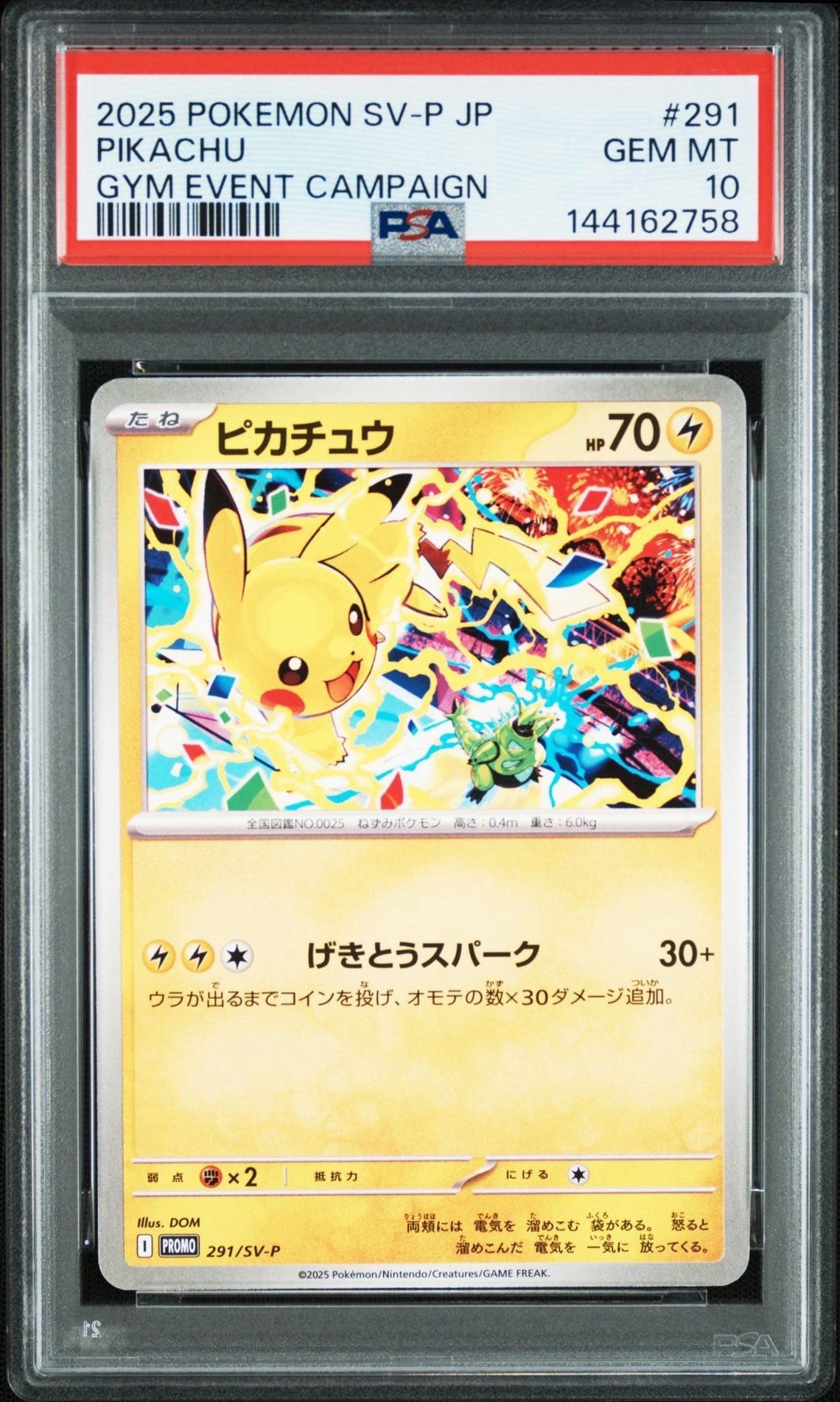トウホクのピカチュウ P [SV-P 260](スペシャルBOX「ポケモンセンター