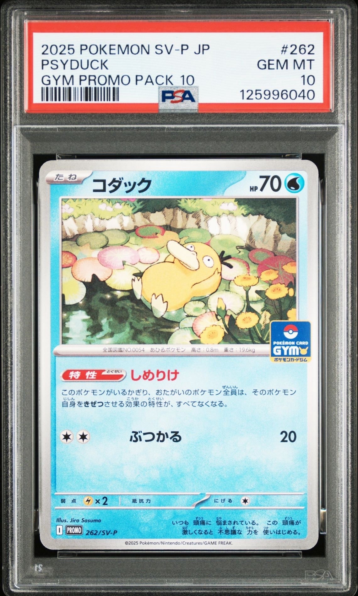 コダック P [SV-P 262](プロモカードパック「第10弾」)