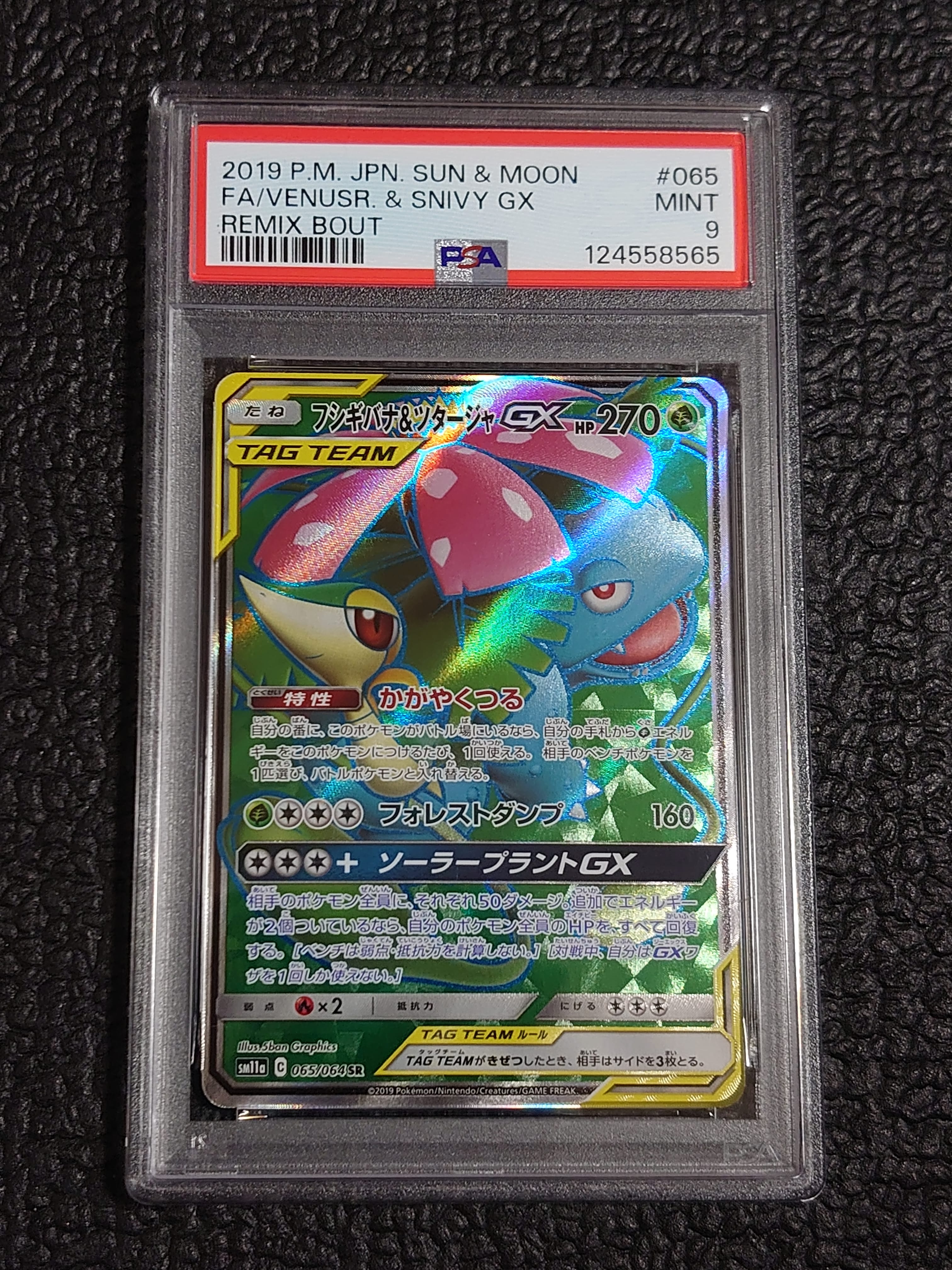 フシギバナ&ツタージャGX SR[SM11a 065/064](強化拡張パック「リミックスバウト」)