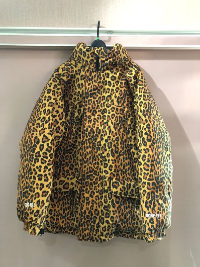 Supreme GORE-TEX 700-Fill Down Parka "Leopard"